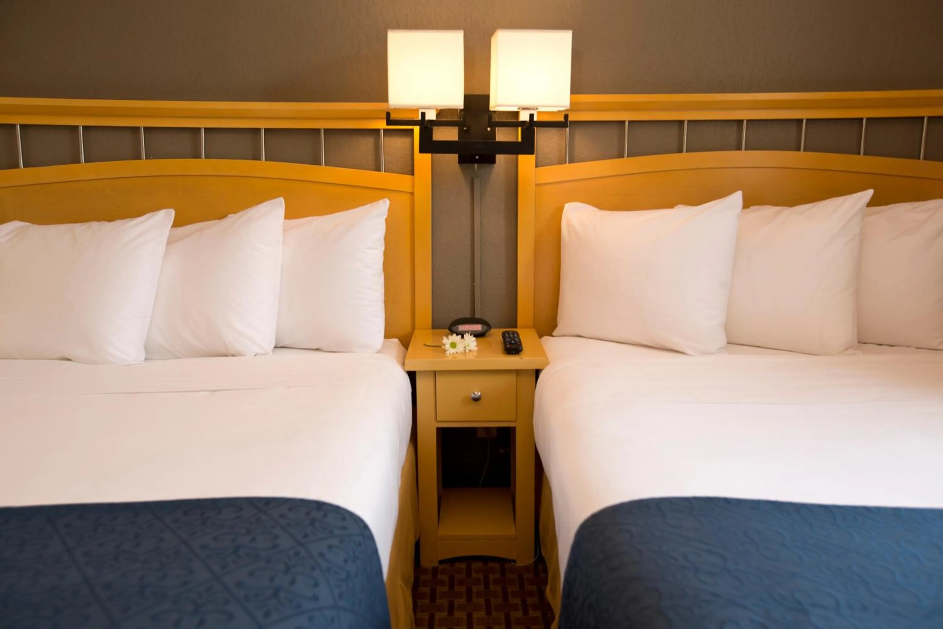 Photo of the whole room in Hudson River Hotel