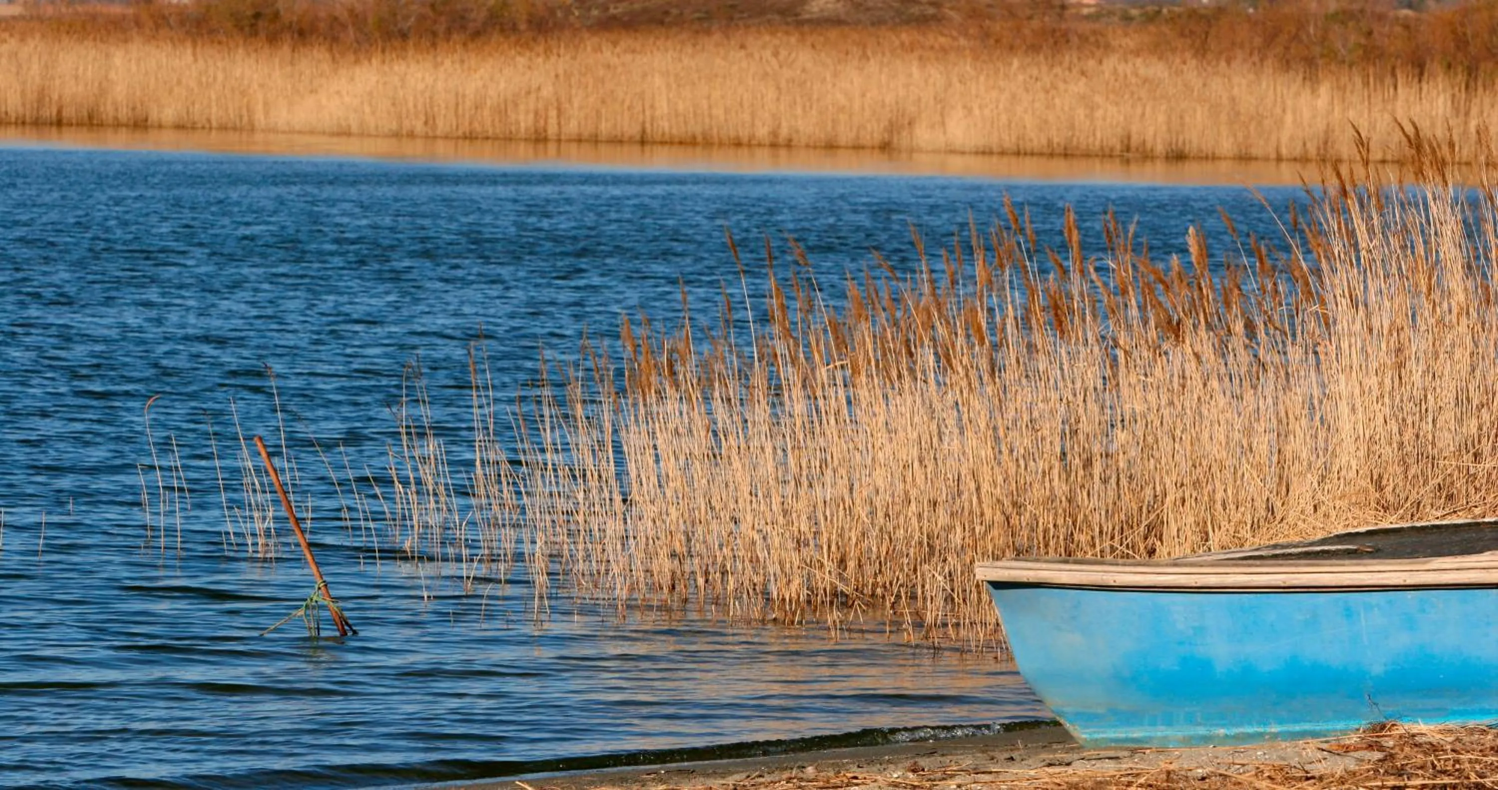 Natural landscape in Résidence Les Flamants Roses