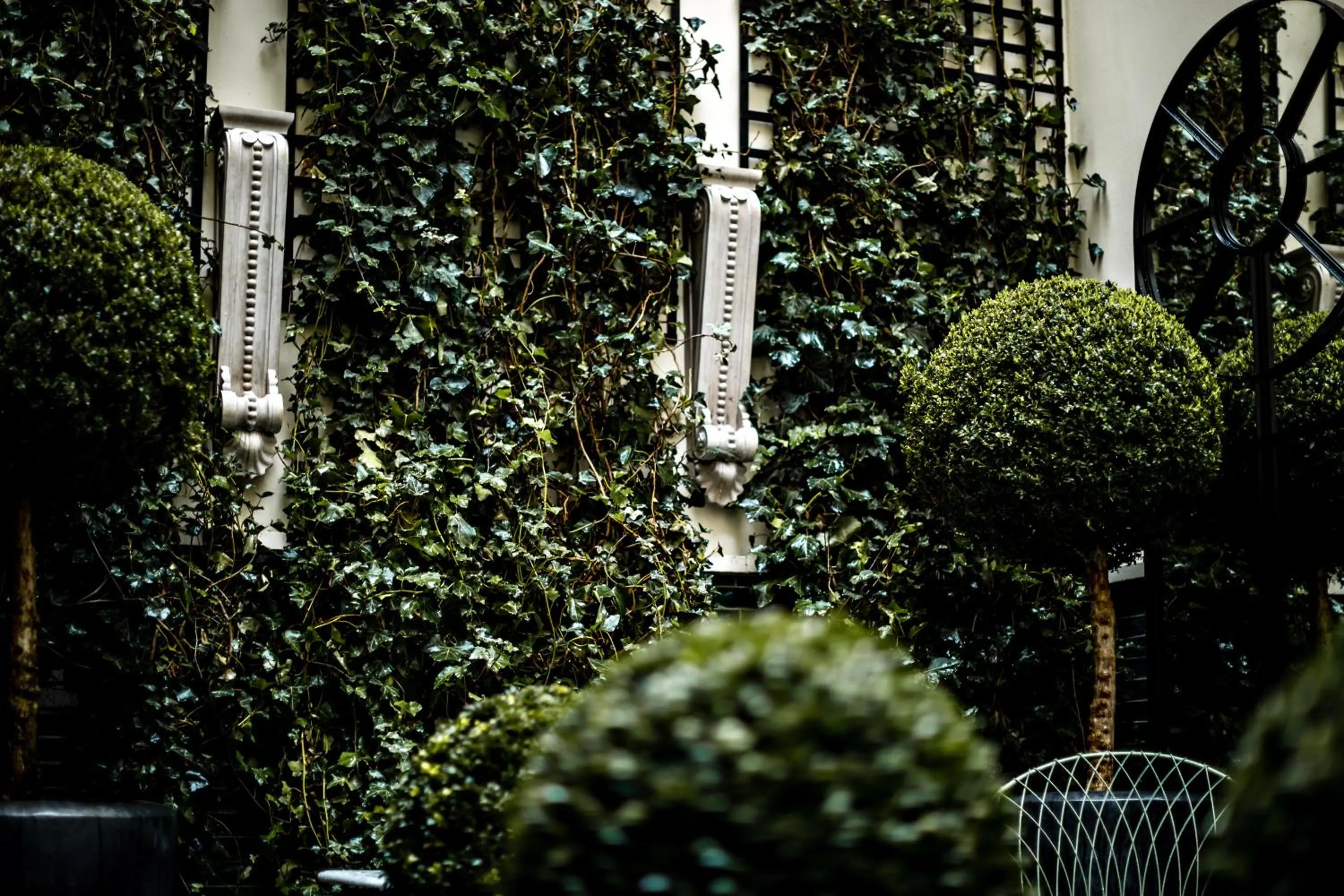 Garden in Monsieur George Hotel & Spa - Champs-Elysées