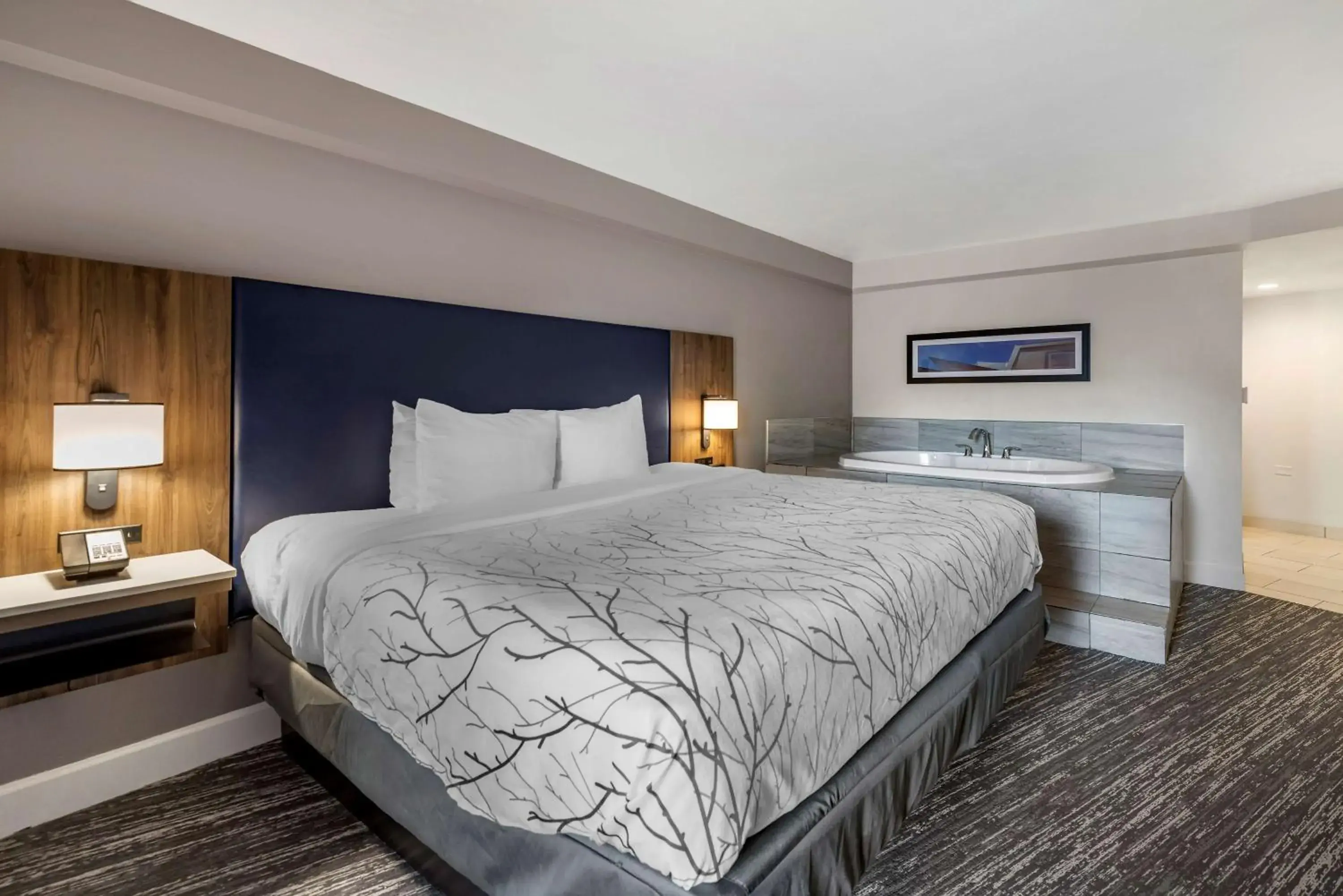 King Suite with Sofa Bed - Poolside in Best Western Premier Denver East King Suite with Sofa Bed - Poolside in Best Western Premier Denver East