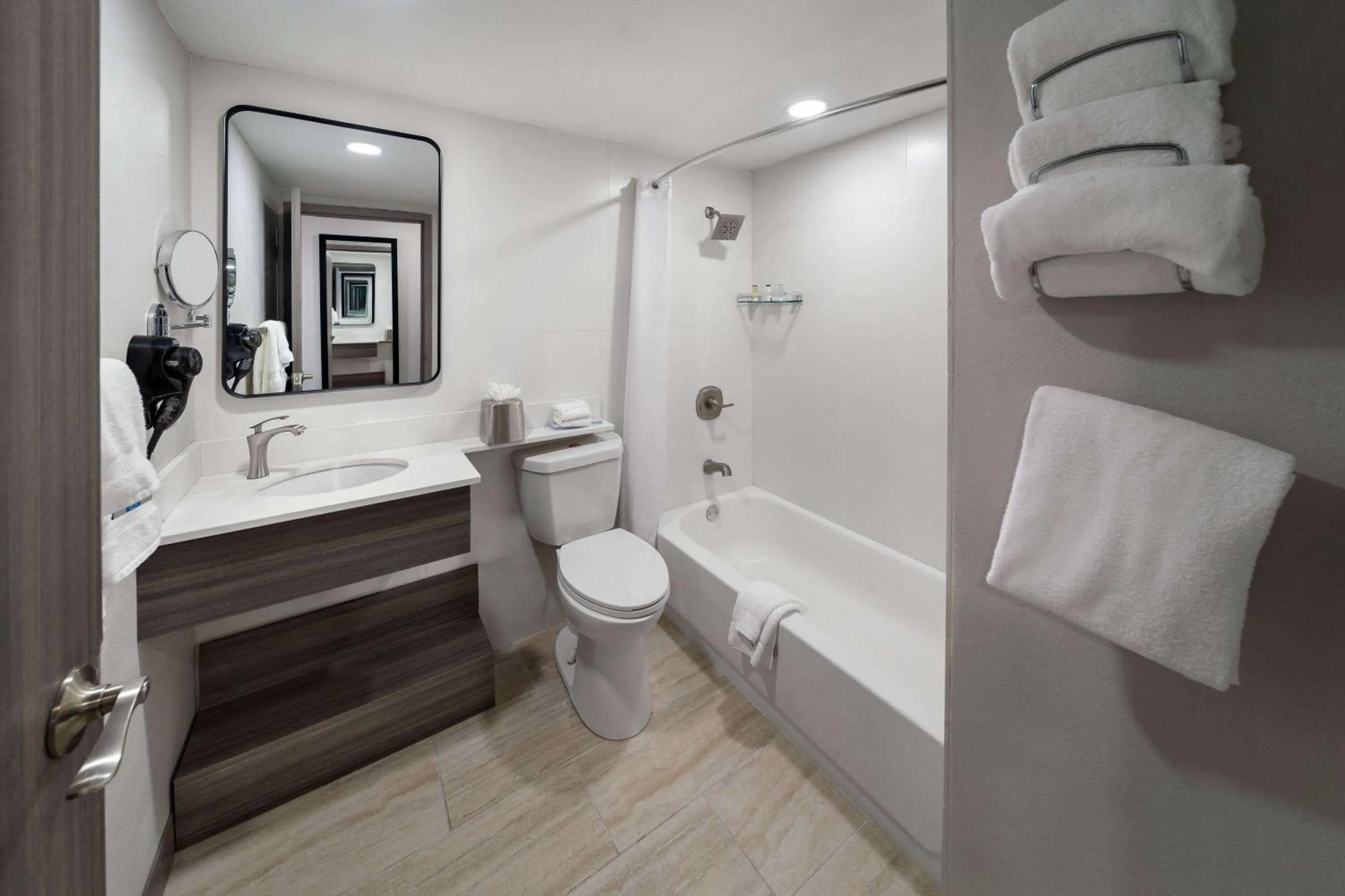 TV and multimedia in Wyndham DFW Airport