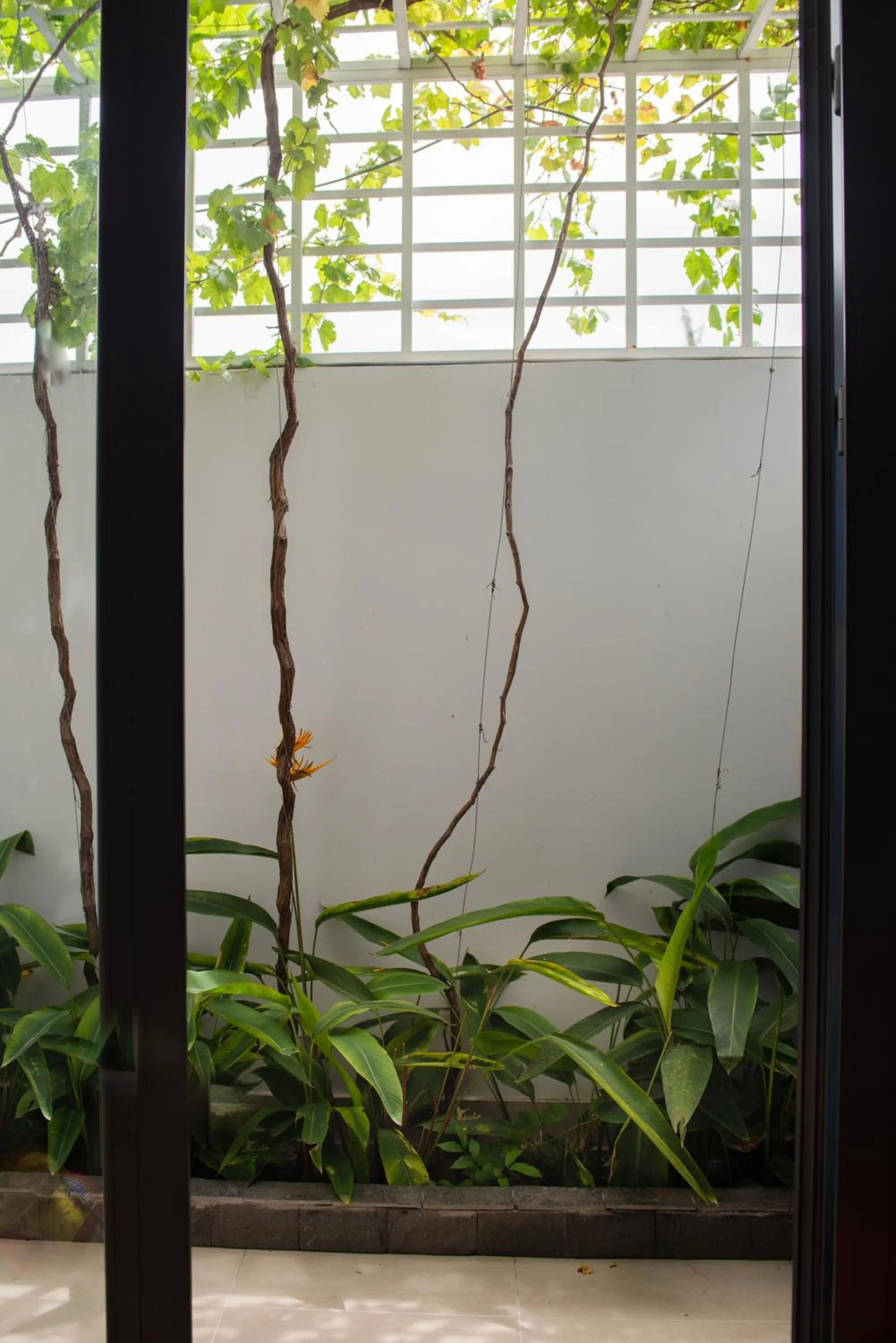 Patio in West Lake Hotel - Near Bai Dai Beach