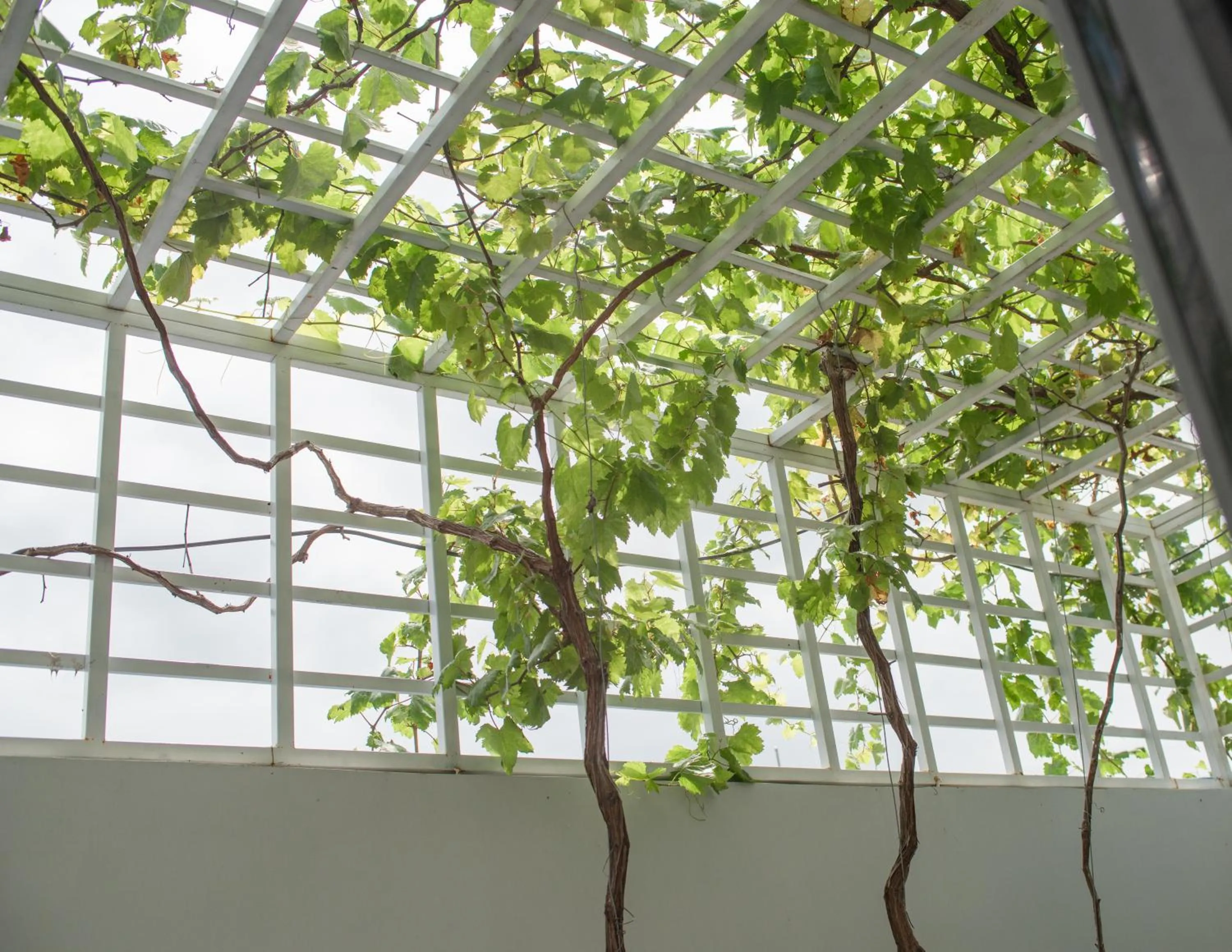 Inner courtyard view in West Lake Hotel - Near Bai Dai Beach