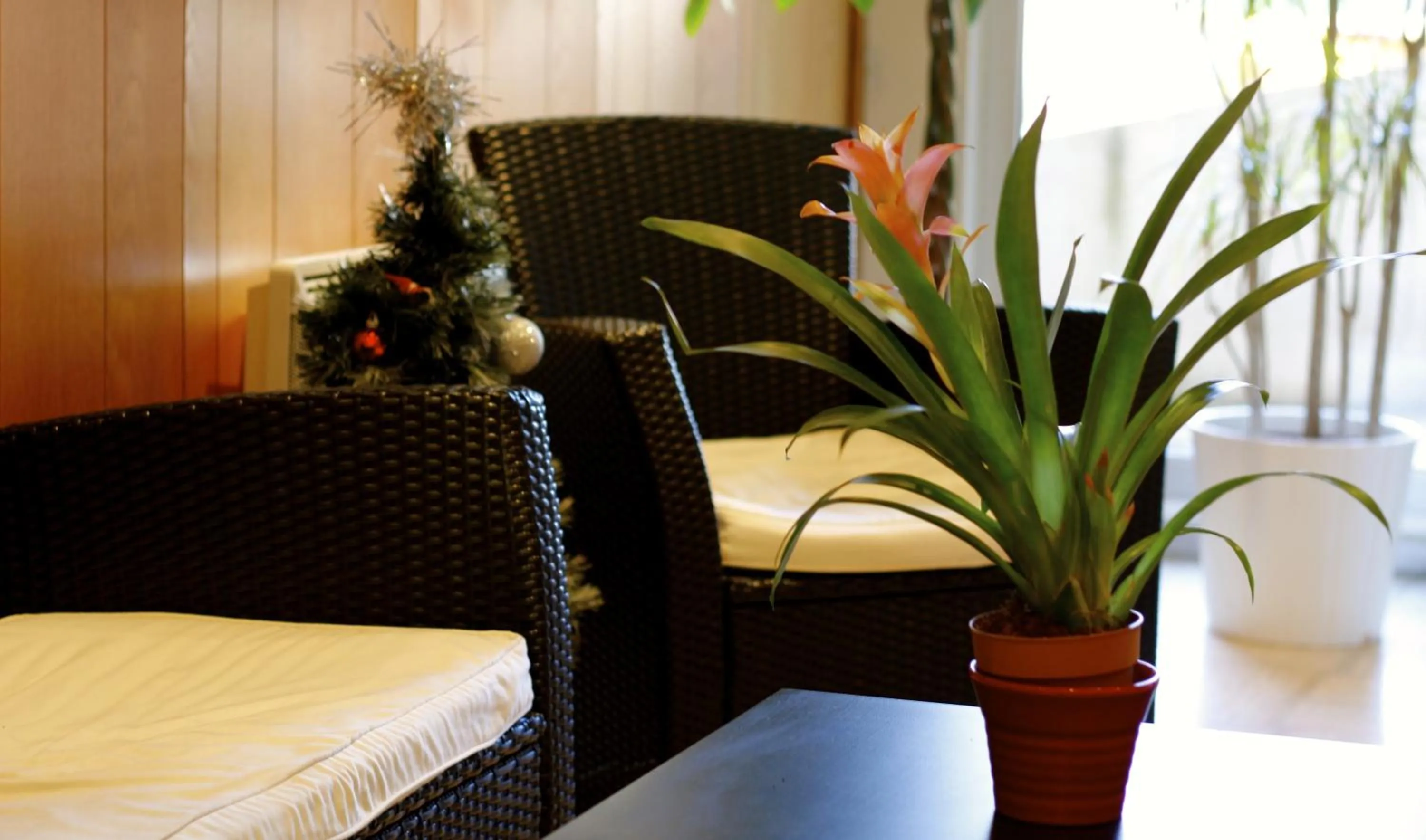 Day in Appart'hotel Les Palatines