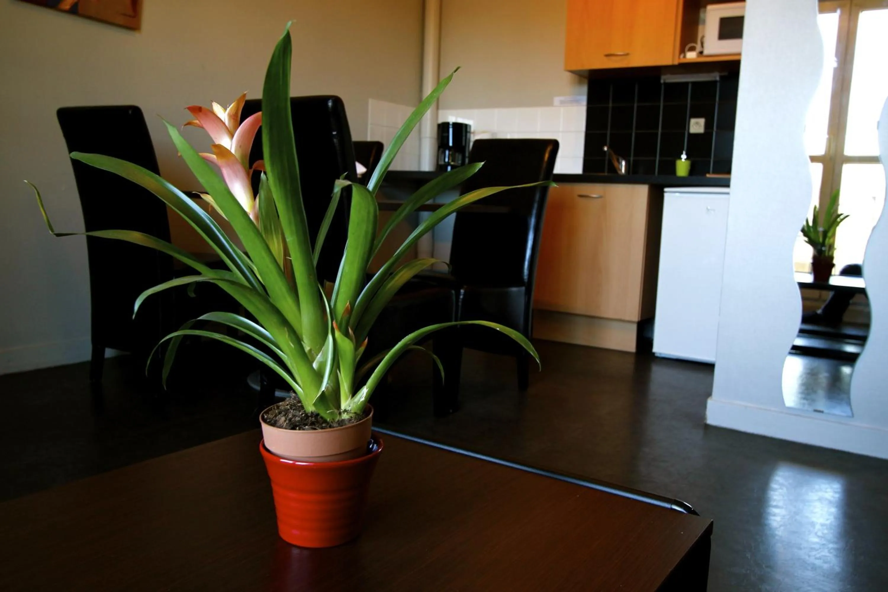 Kitchen or kitchenette in Appart'hotel Les Palatines