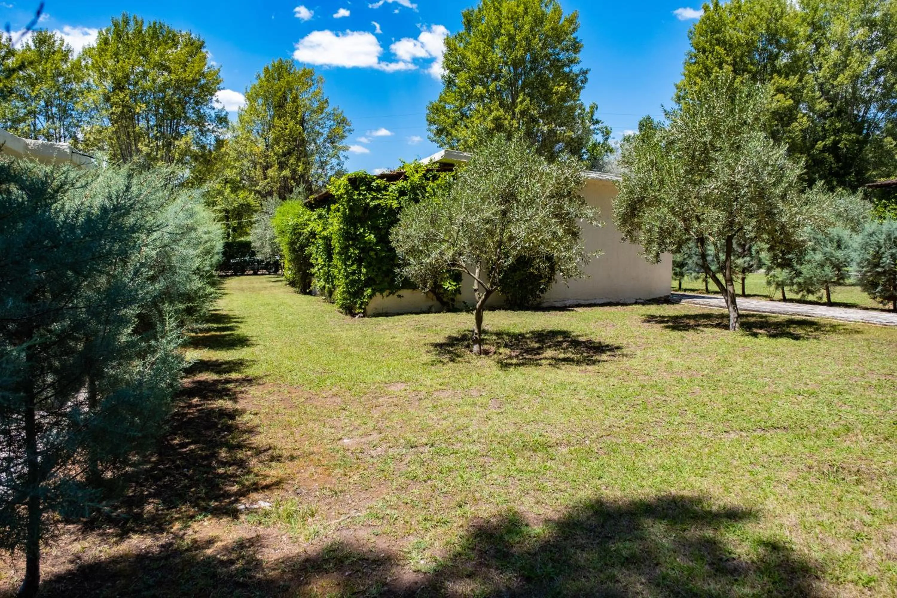 Garden in Tsamadanis Hotel & Bungalows Friends Family