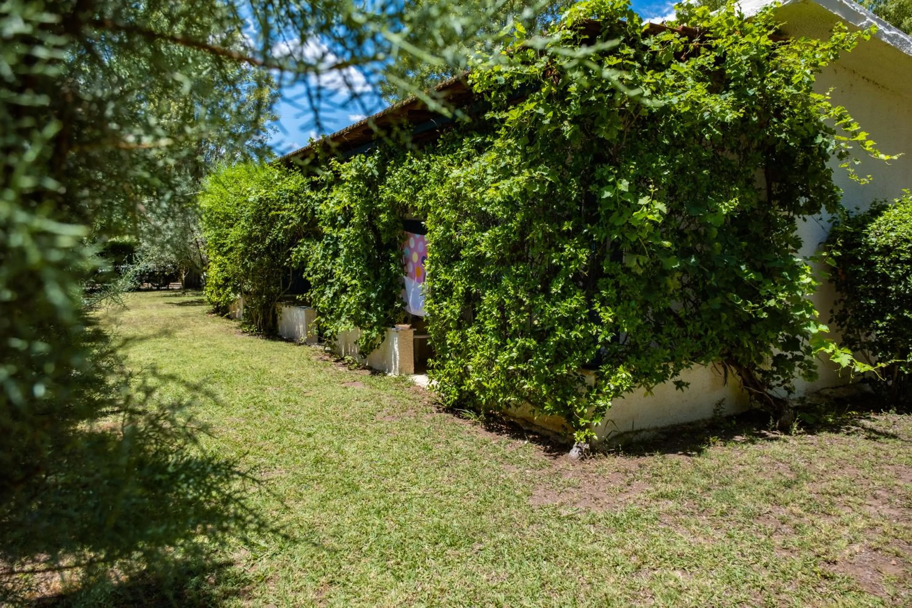 Garden in Tsamadanis Hotel & Bungalows Friends Family