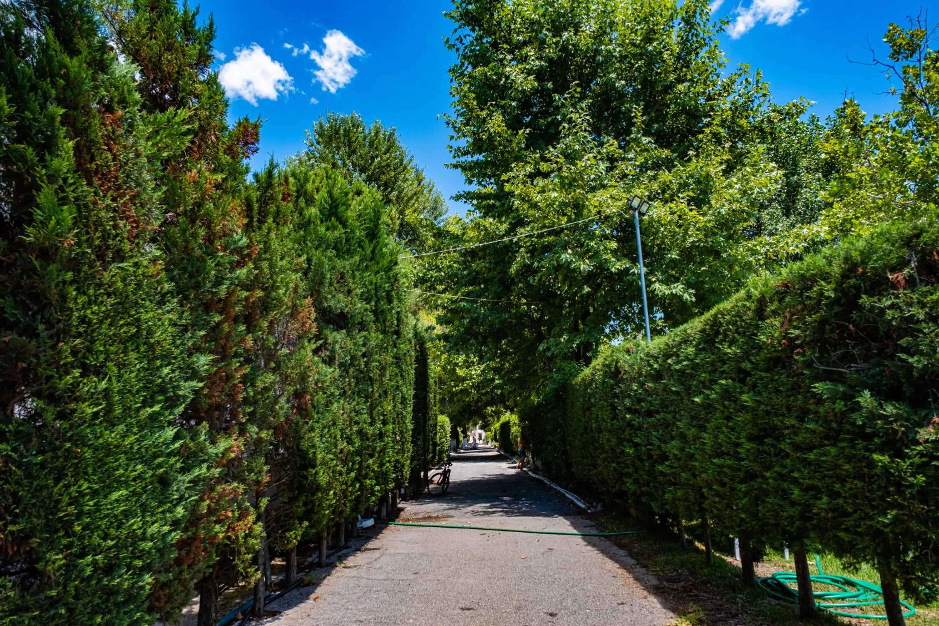 Garden in Tsamadanis Hotel & Bungalows Friends Family