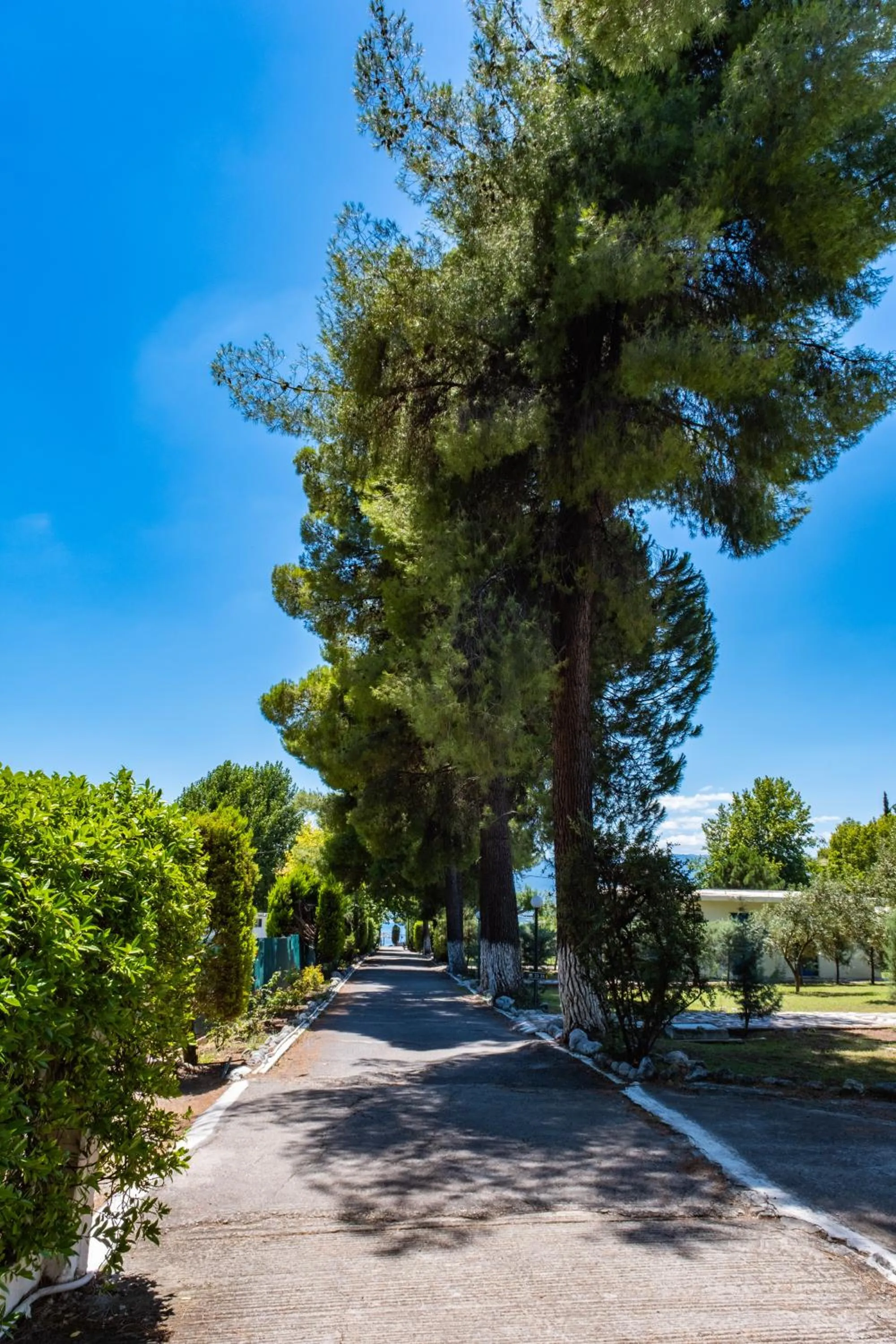 Natural landscape in Tsamadanis Hotel & Bungalows Friends Family