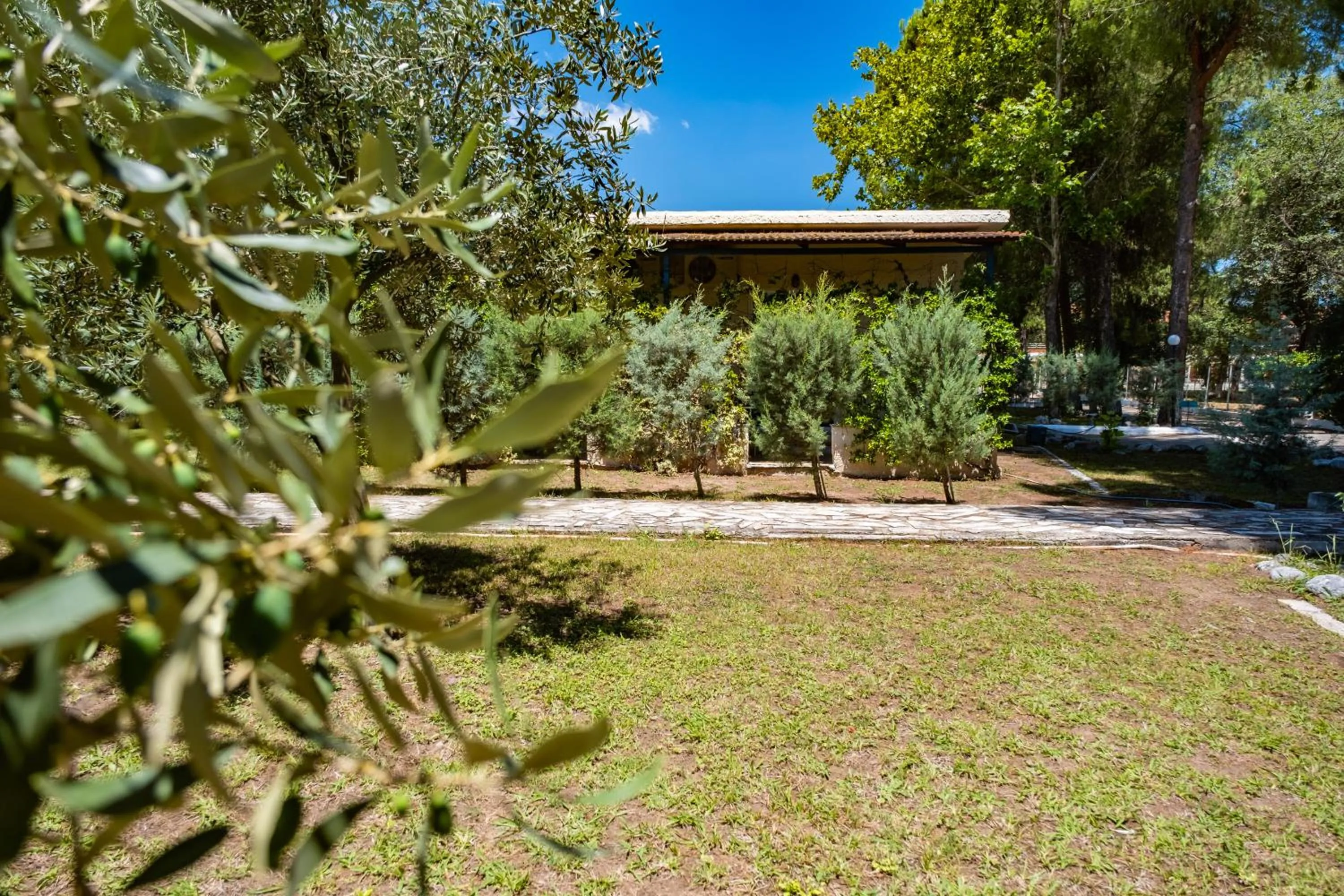 Garden in Tsamadanis Hotel & Bungalows Friends Family