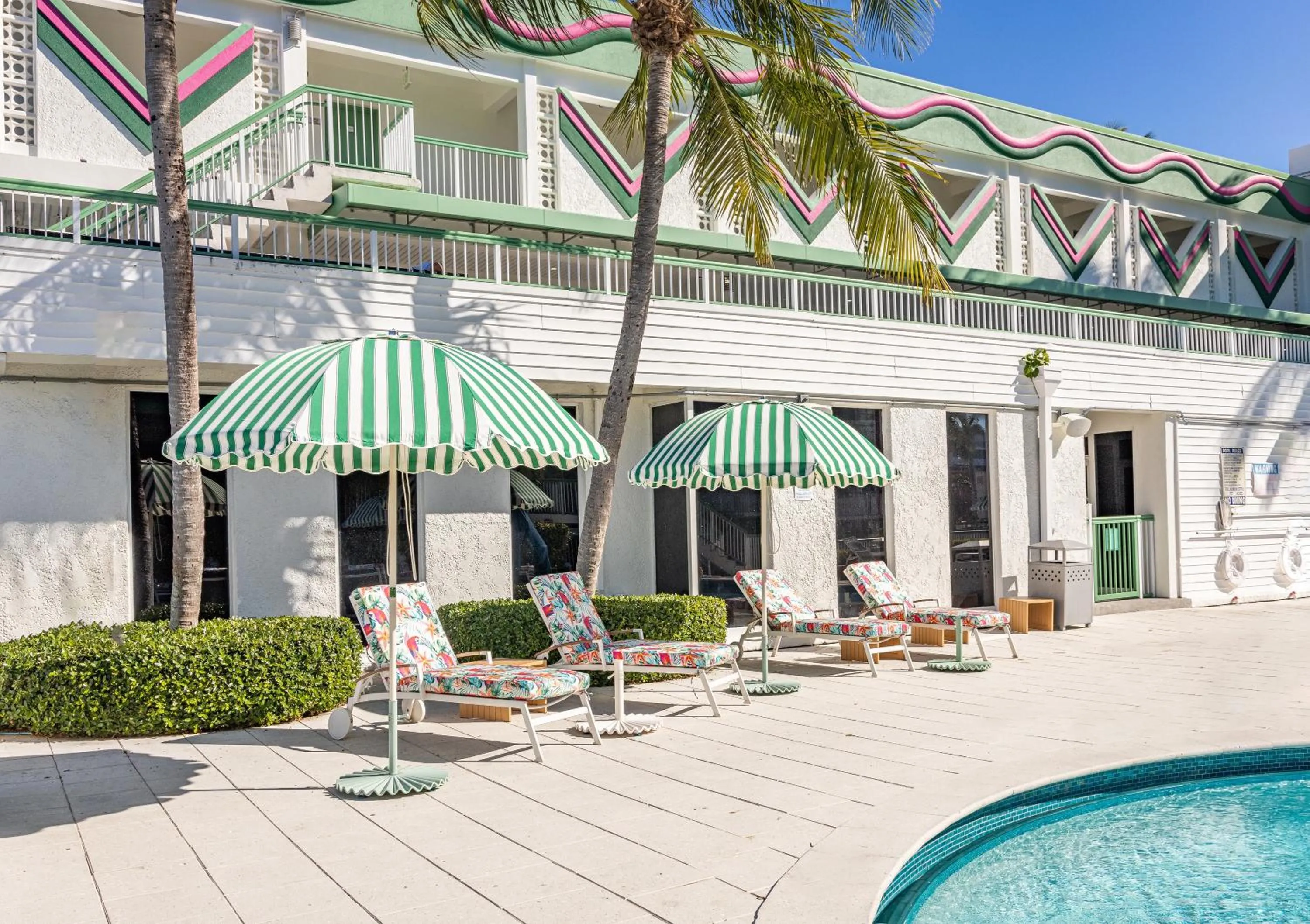 sunbed in Palm Tree Club Miami