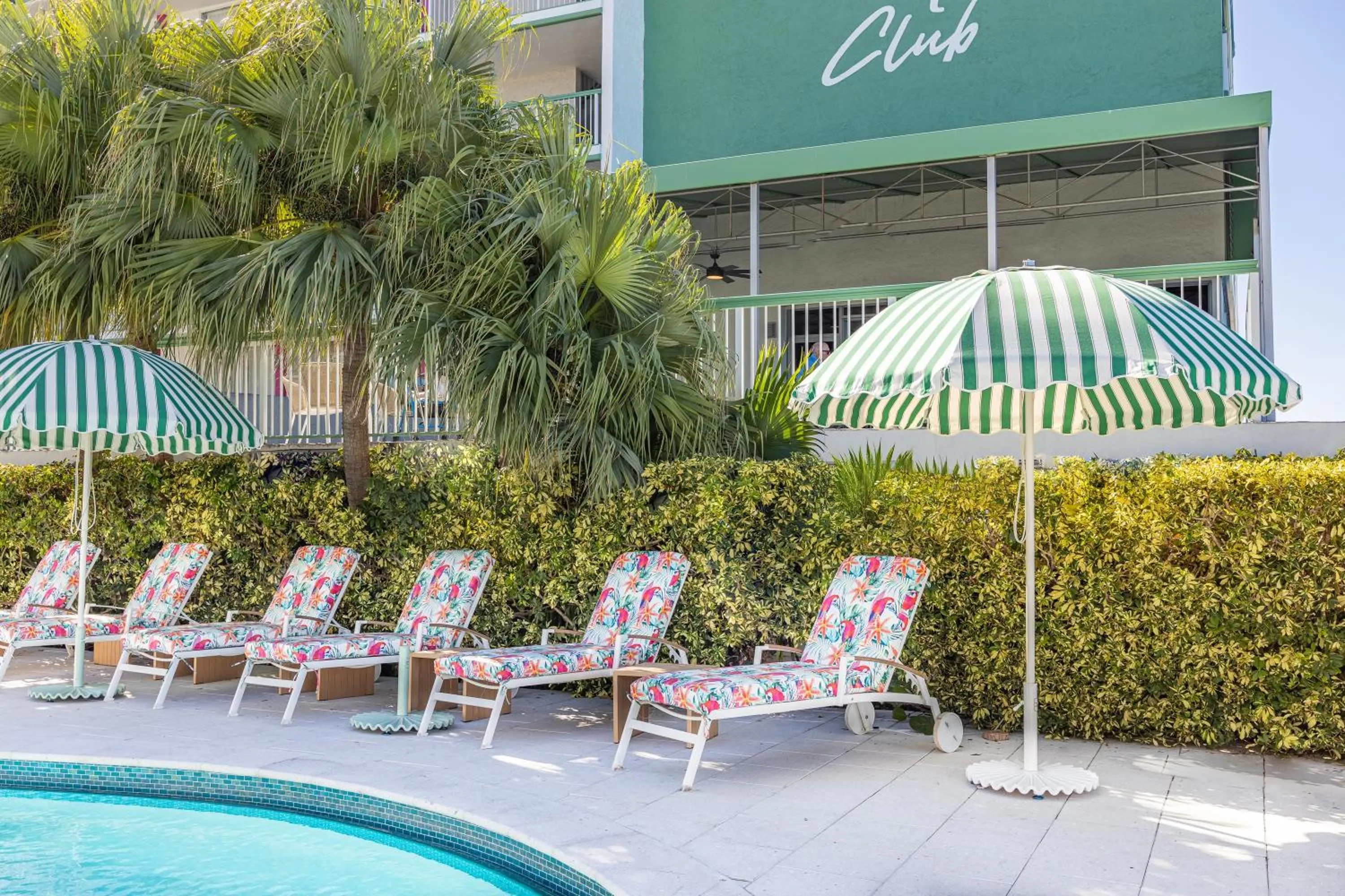 sunbed in Palm Tree Club Miami