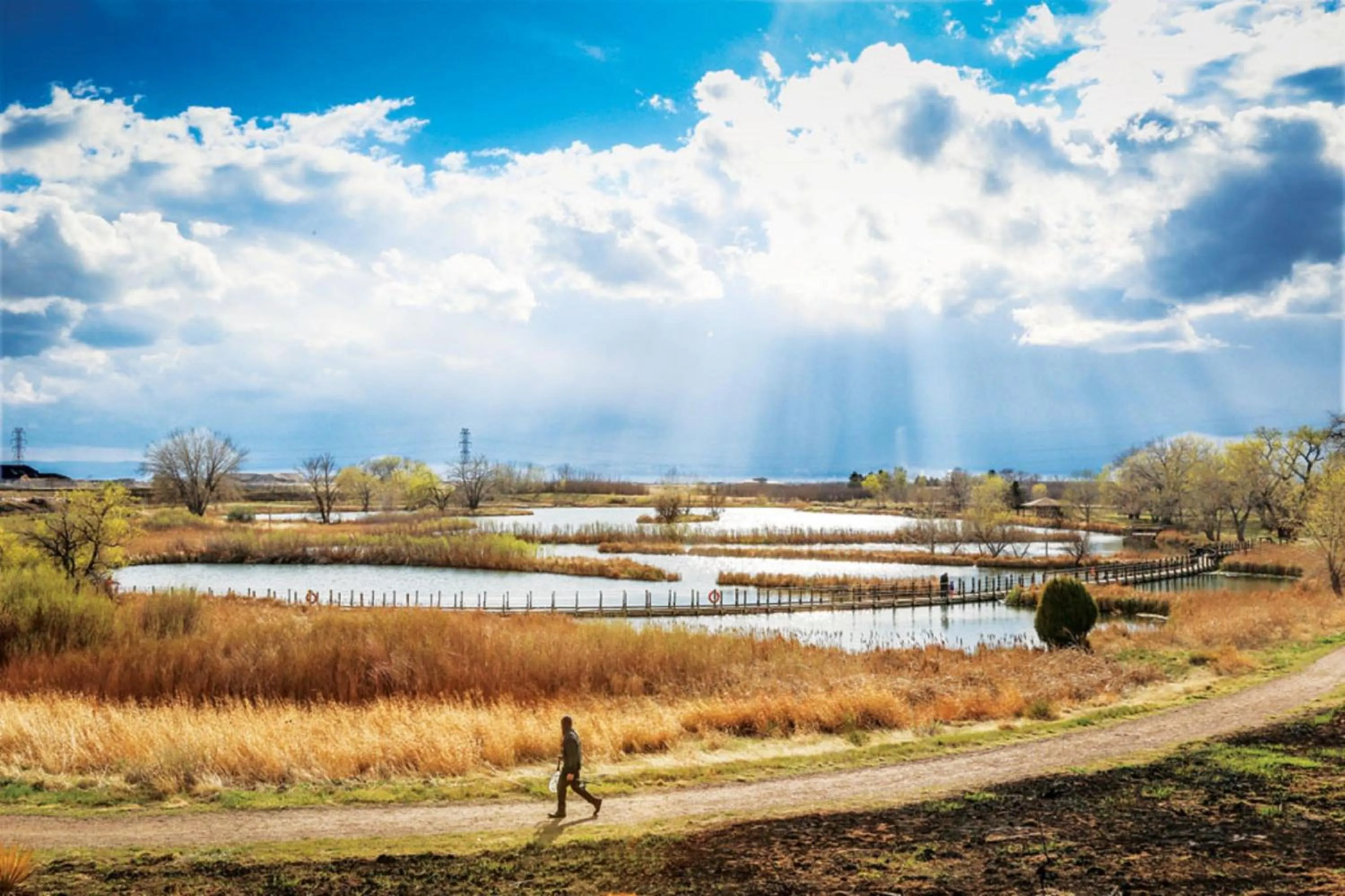 Nearby landmark in Holiday Inn Denver East by IHG