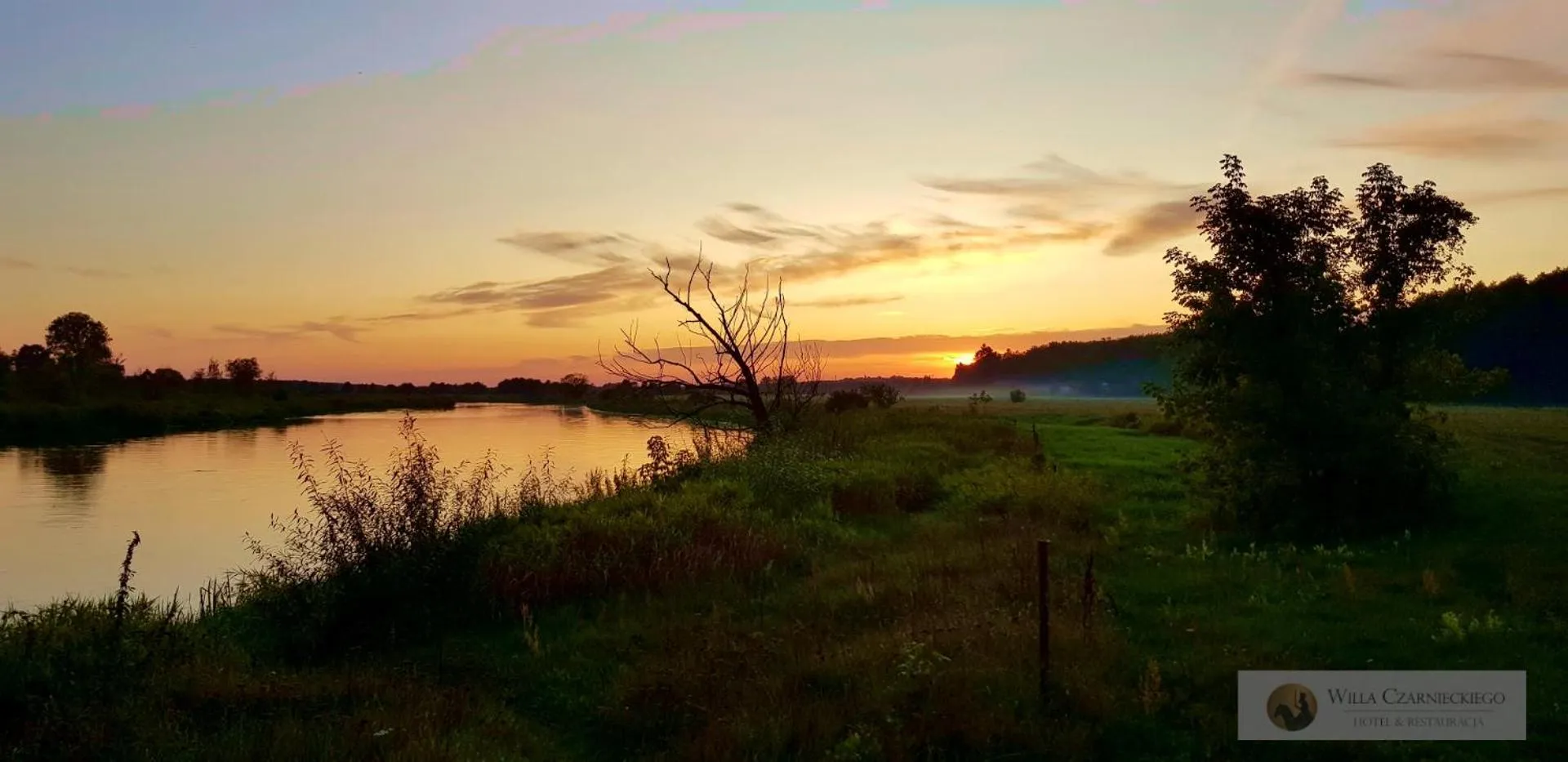 Neighbourhood in Willa Czarnieckiego