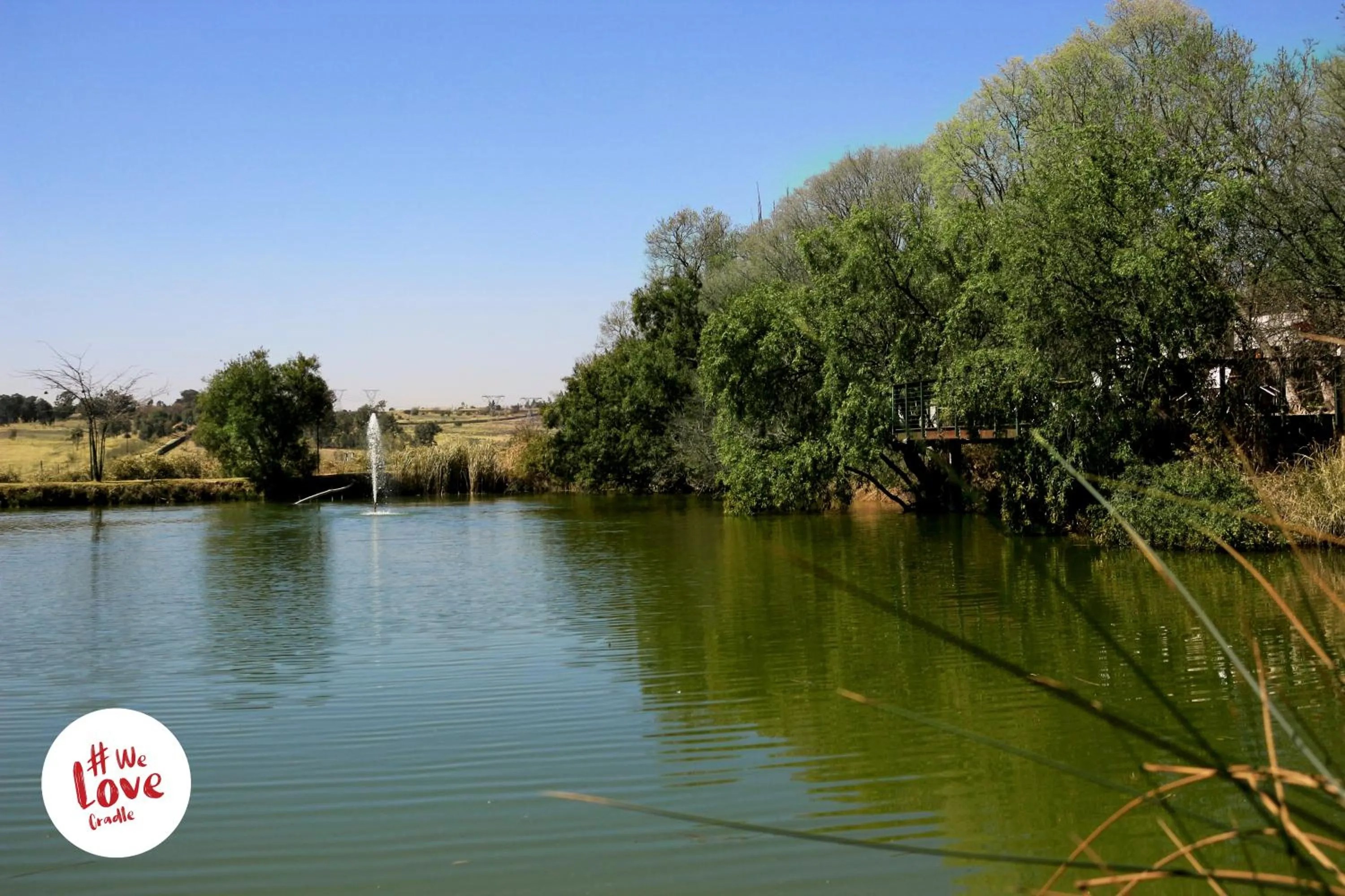 Fishing in Lanseria Country Estate