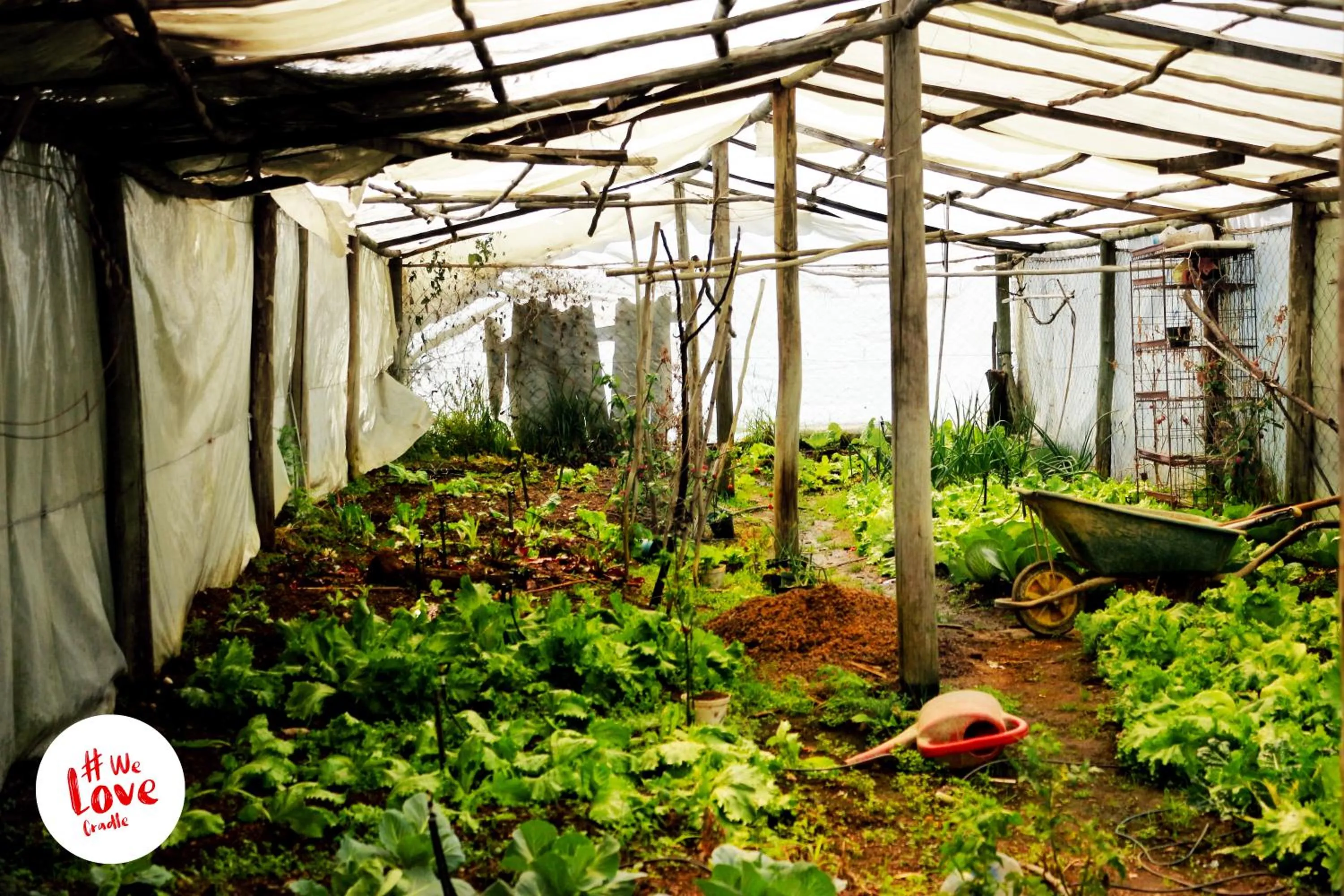 Restaurant/places to eat in Lanseria Country Estate