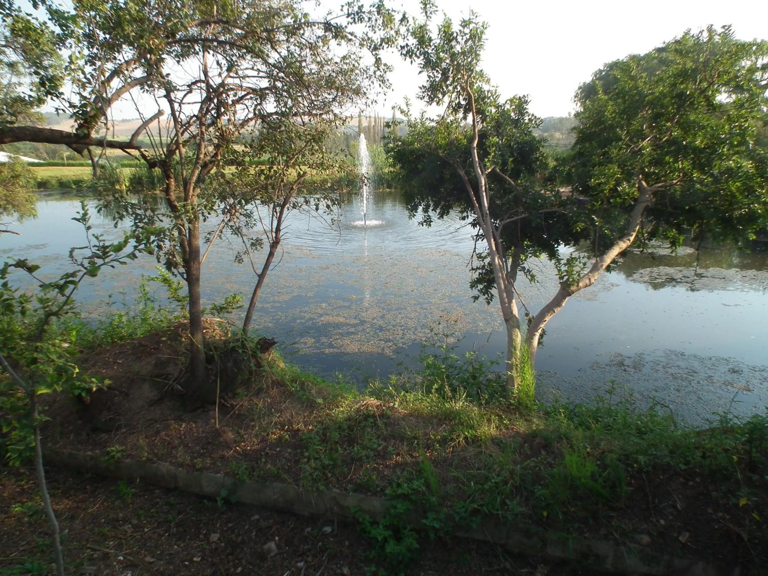 Day in Lanseria Country Estate