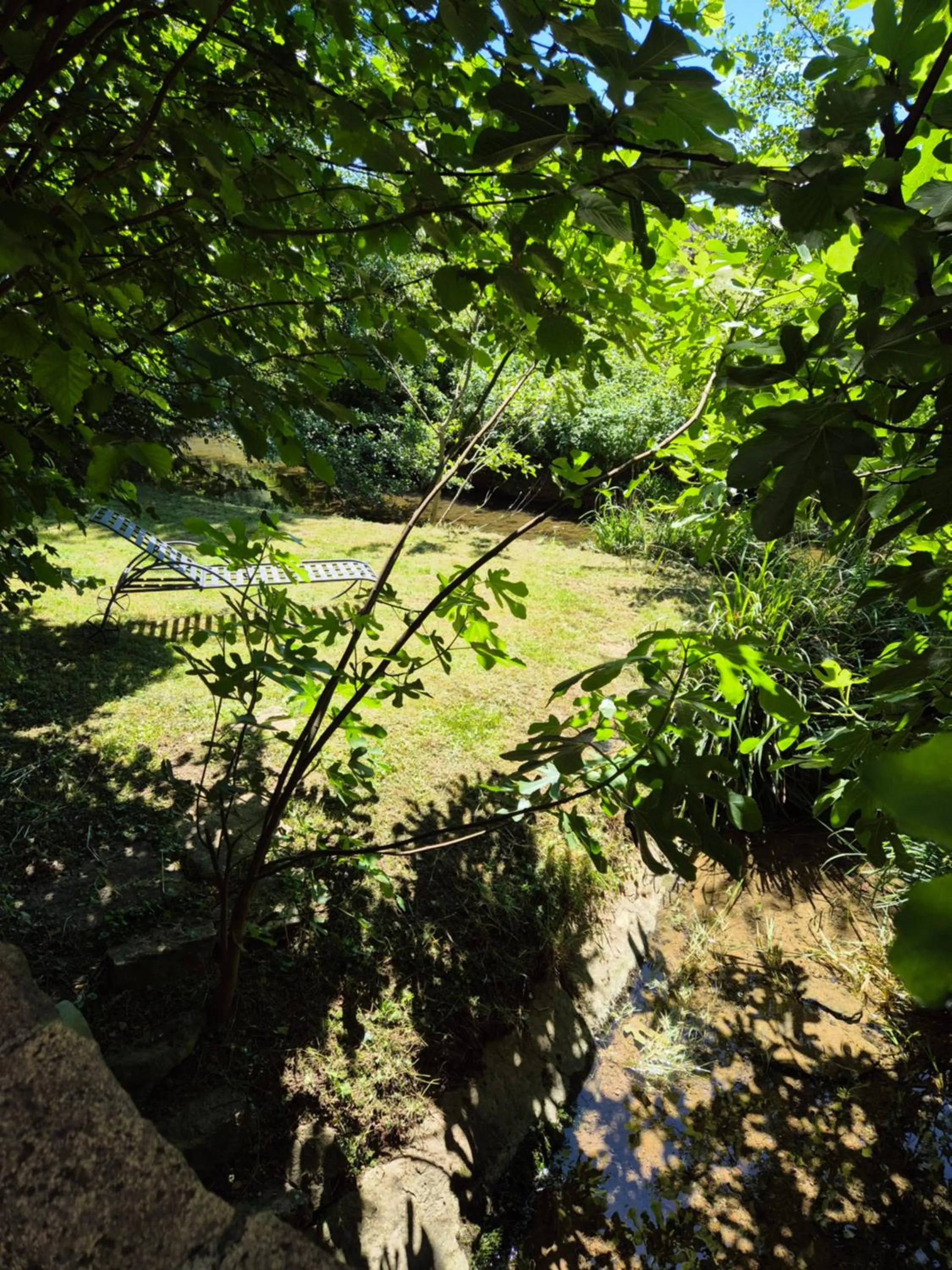 Garden in Au lavoir du Serein "L'Eventail"