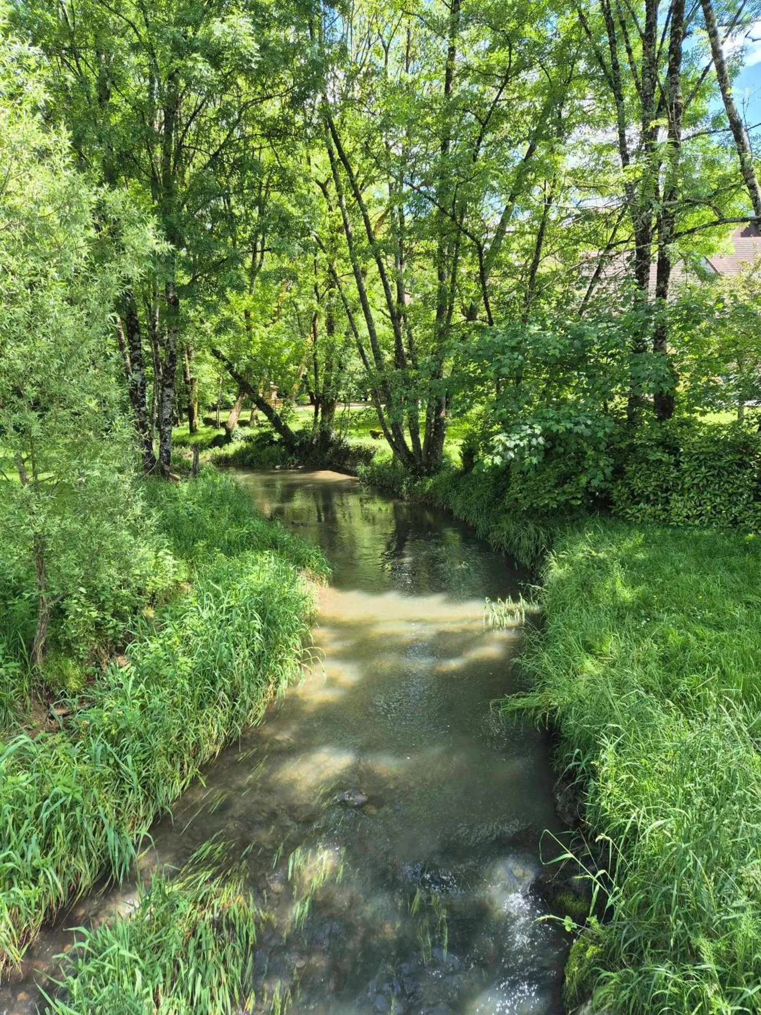 River view in Au Lavoir du Serein "Les Lavandières"