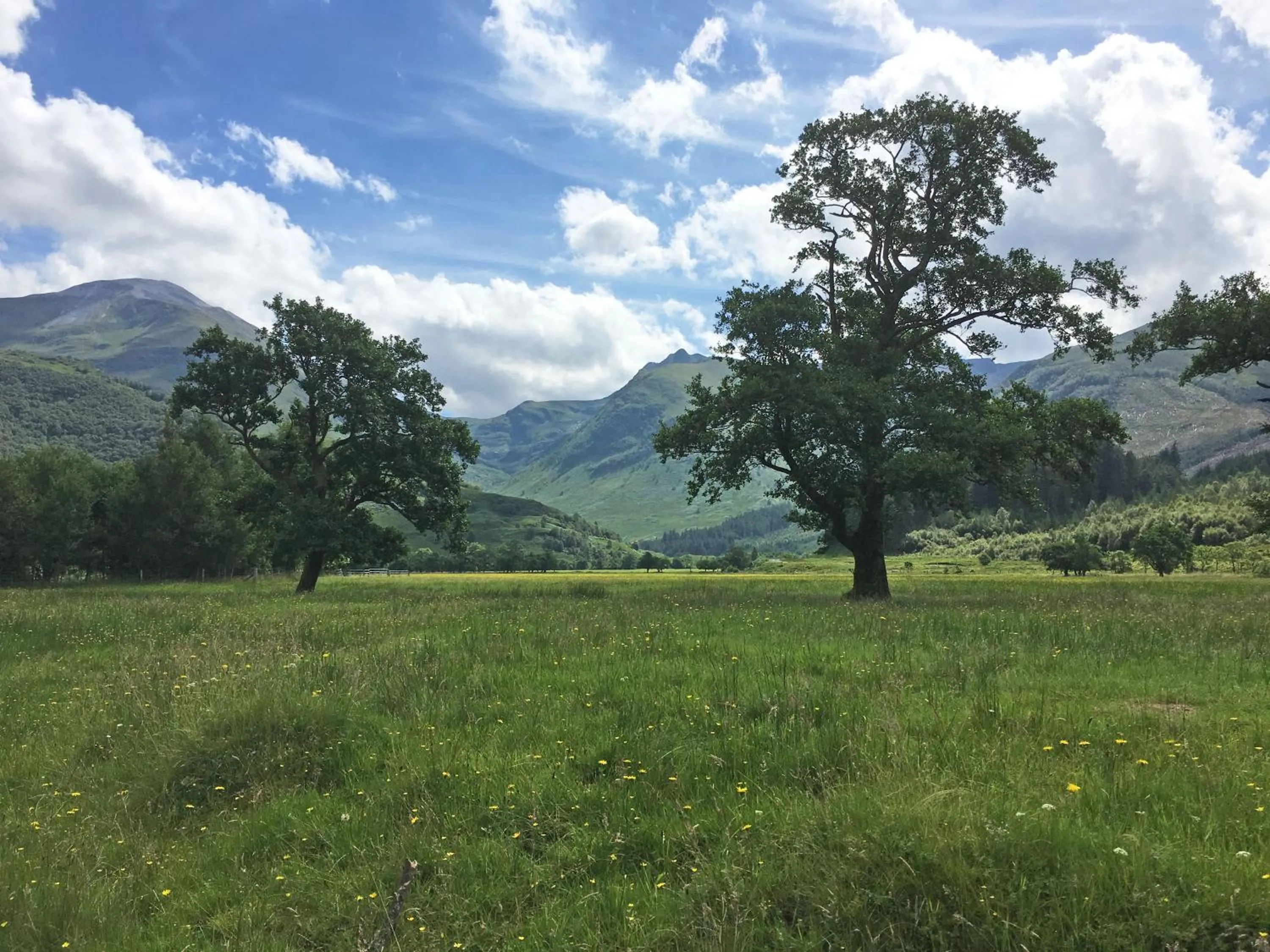Natural landscape in Glen Nevis Holidays