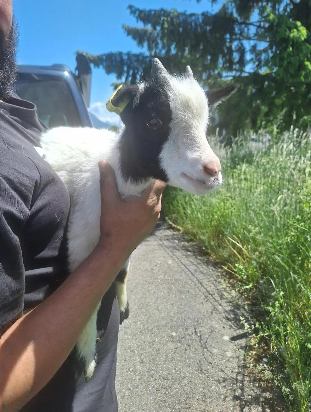 Garden in Hotel le Foron