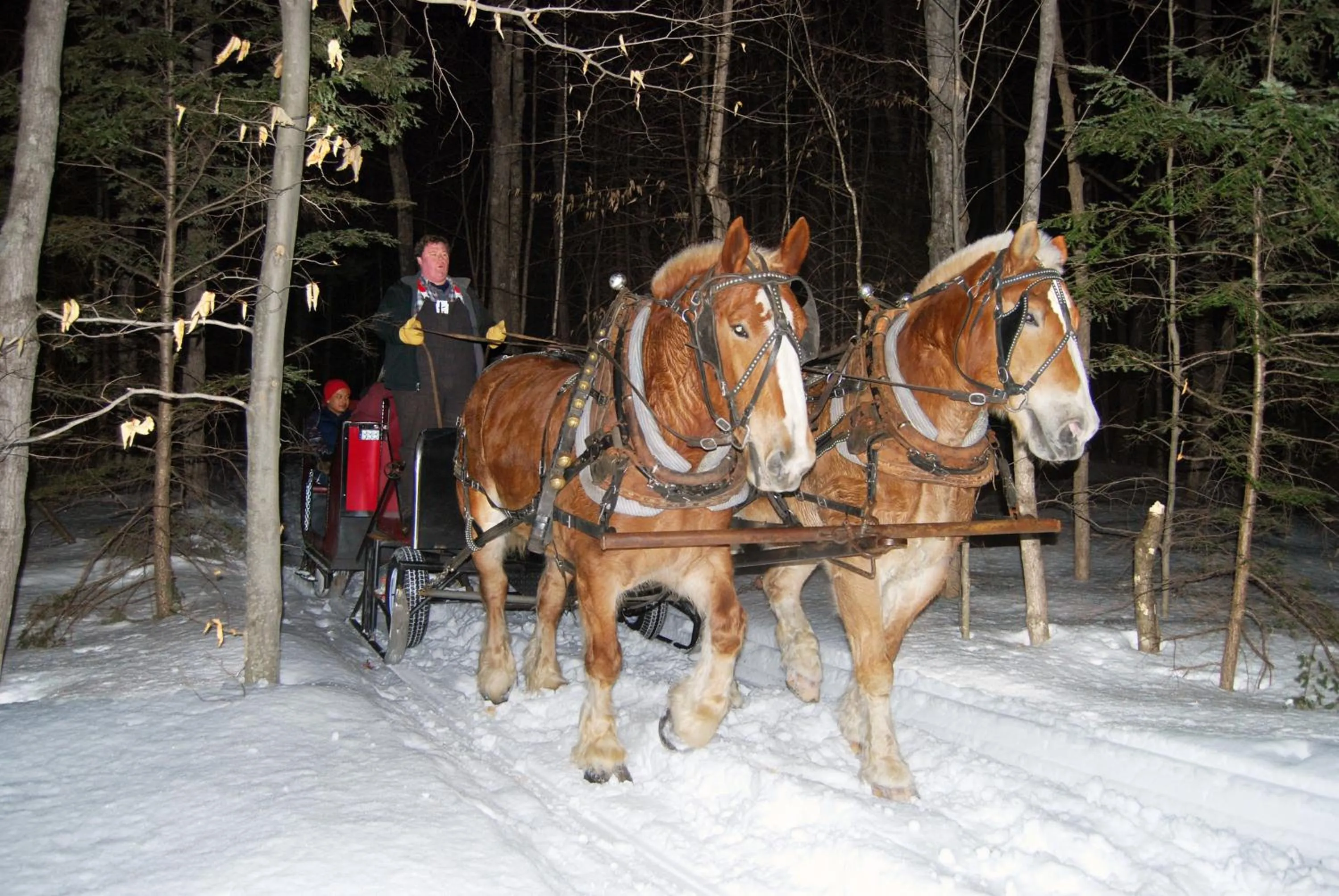 Horse-riding in Attitash Mountain Village