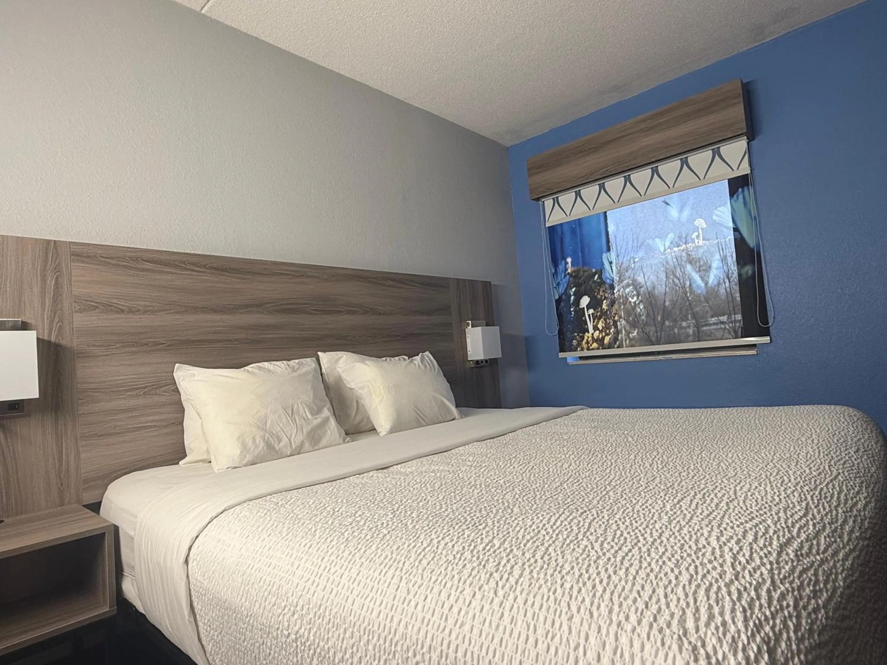 Bedroom, Bed in Baymont by Wyndham Indianapolis South