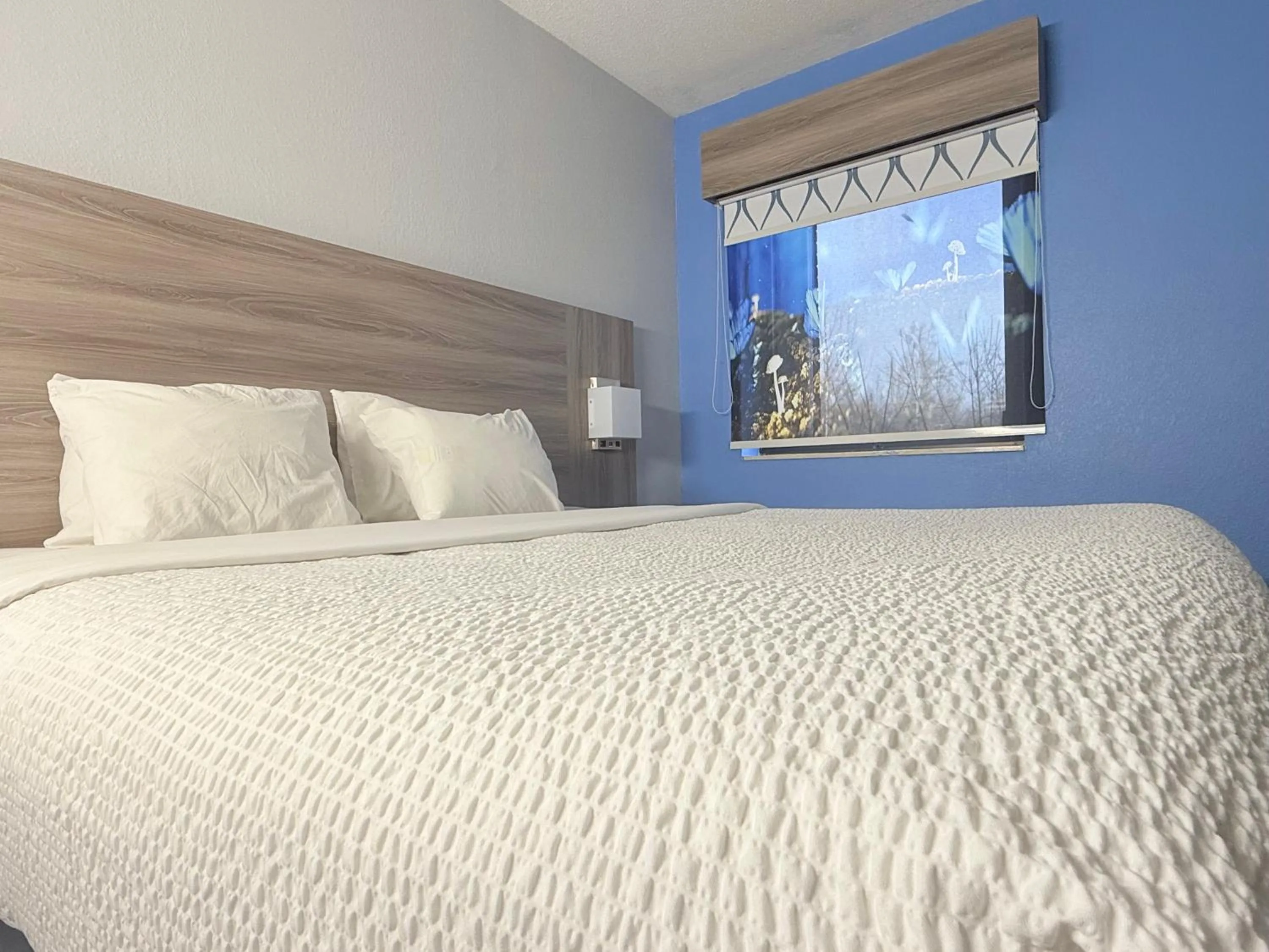 Bed in Baymont by Wyndham Indianapolis South