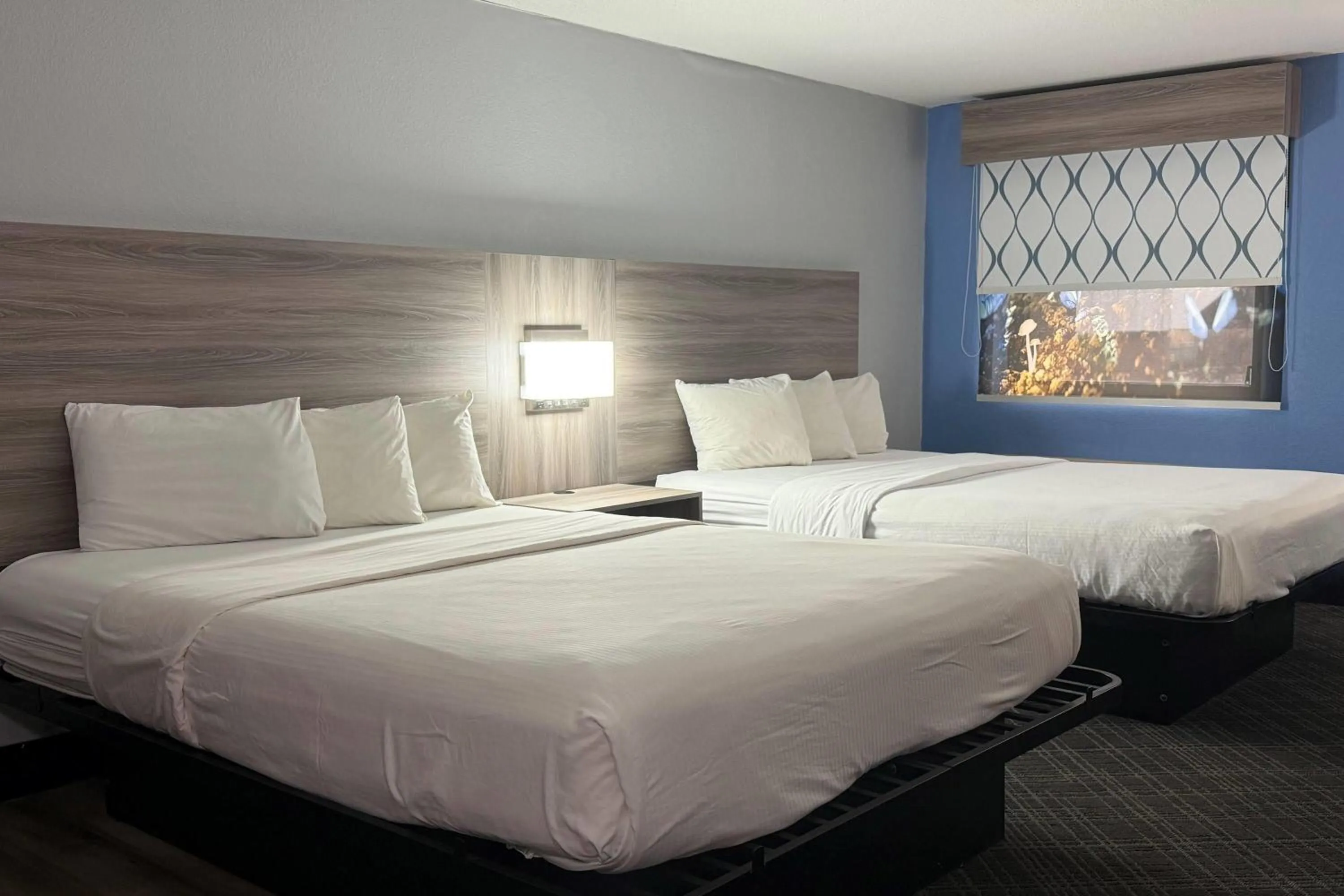 Photo of the whole room, Bed in Baymont by Wyndham Indianapolis South