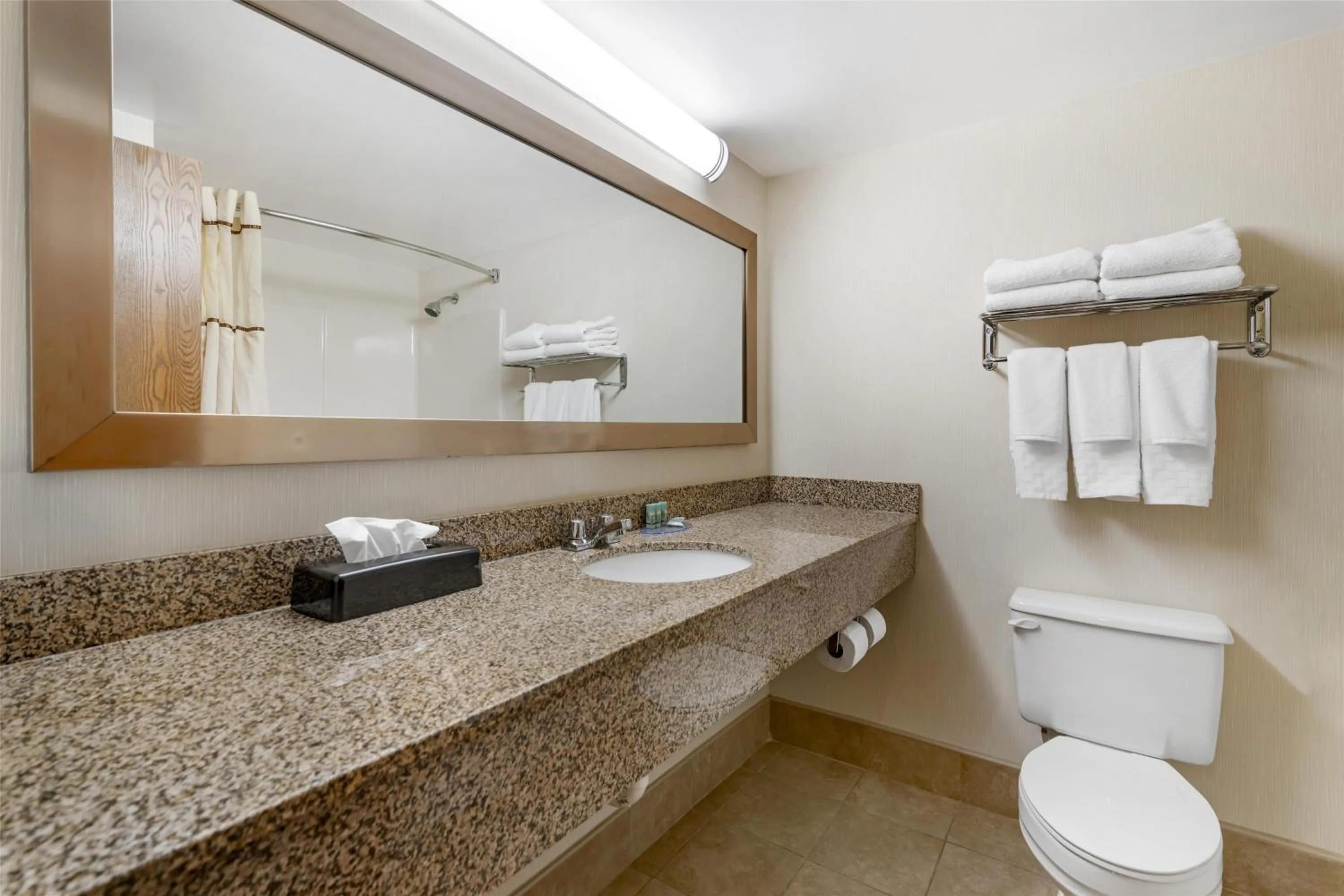 Bathroom in Best Western Royal Plaza Hotel and Trade Center