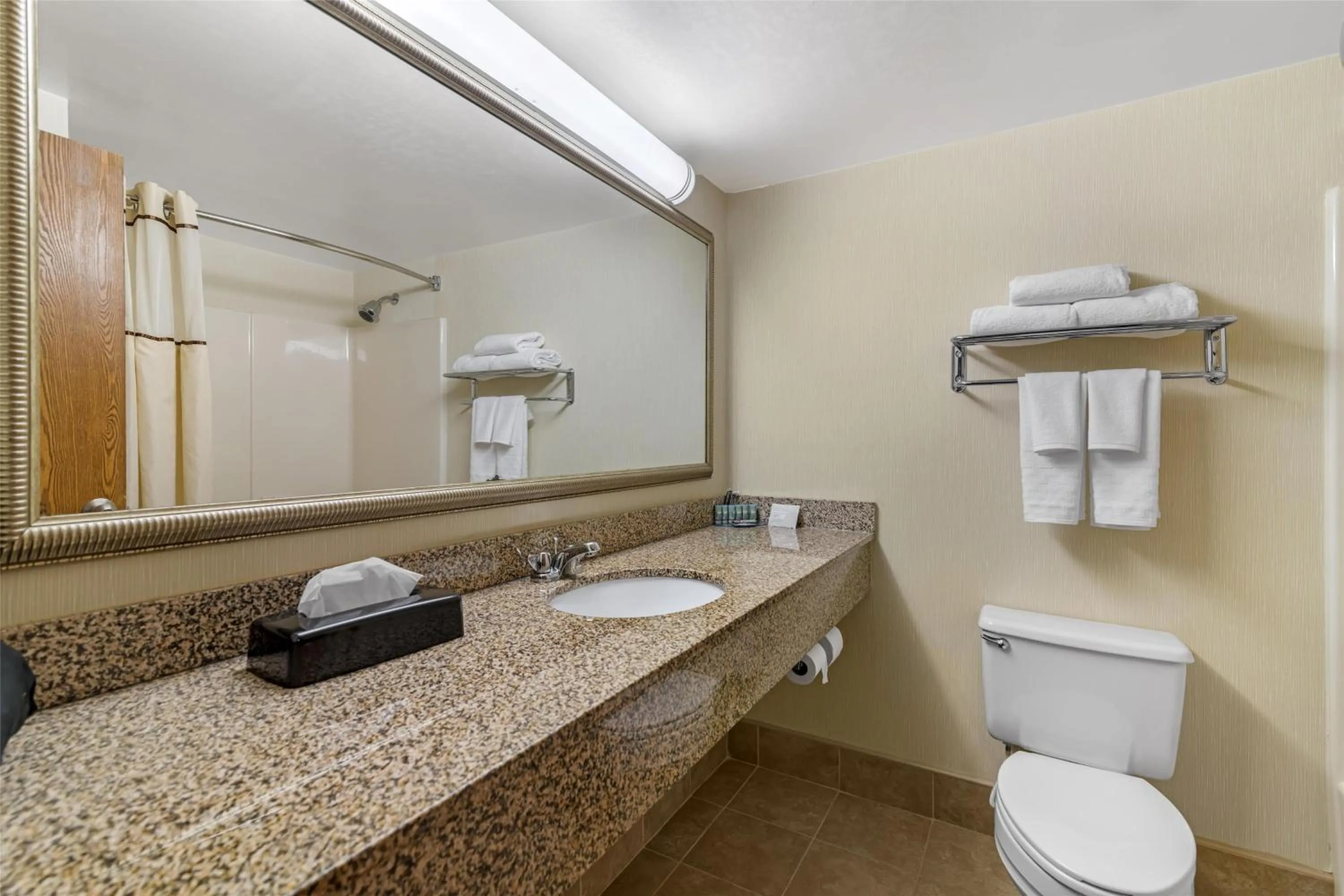Bathroom in Best Western Royal Plaza Hotel and Trade Center