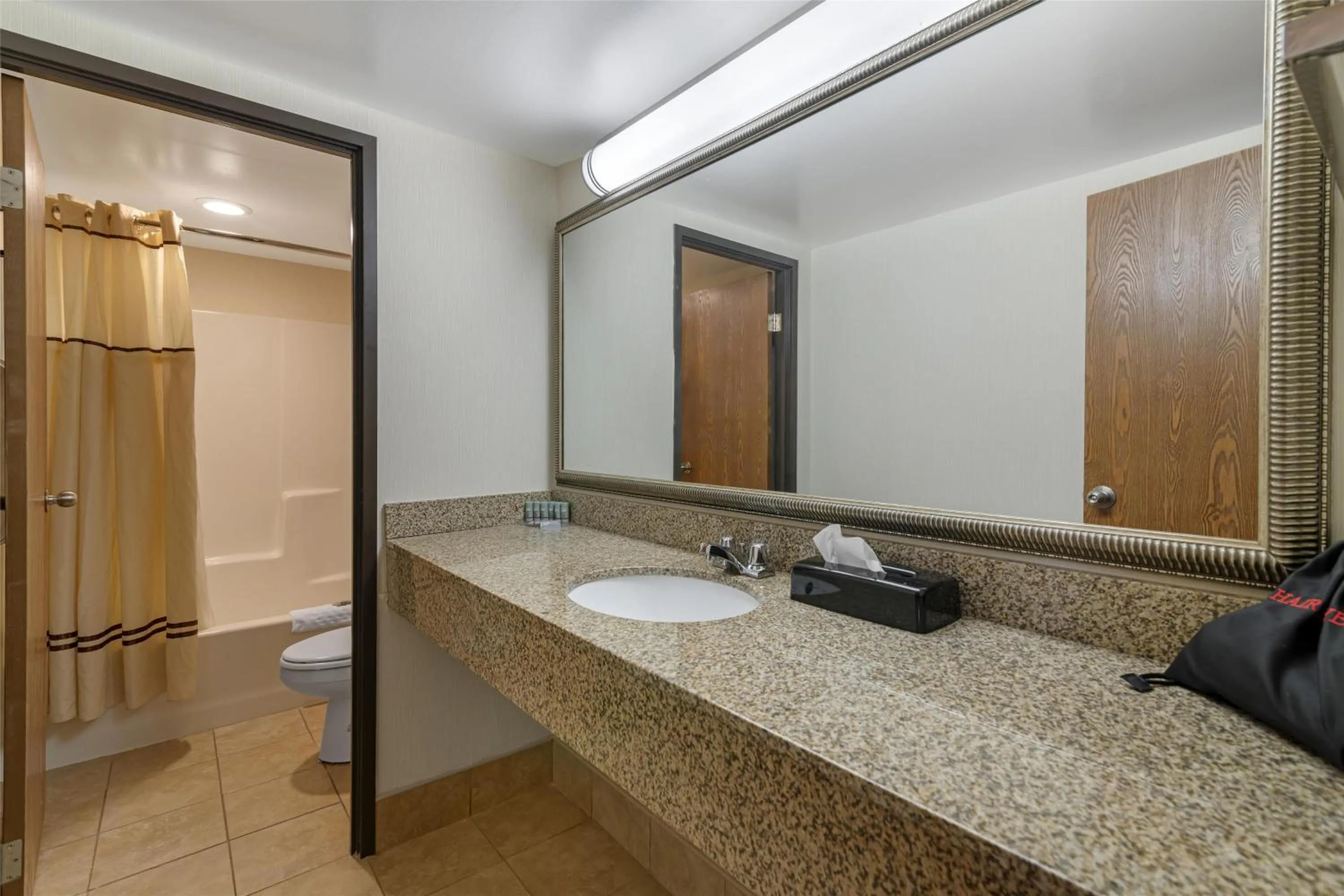 Bathroom in Best Western Royal Plaza Hotel and Trade Center