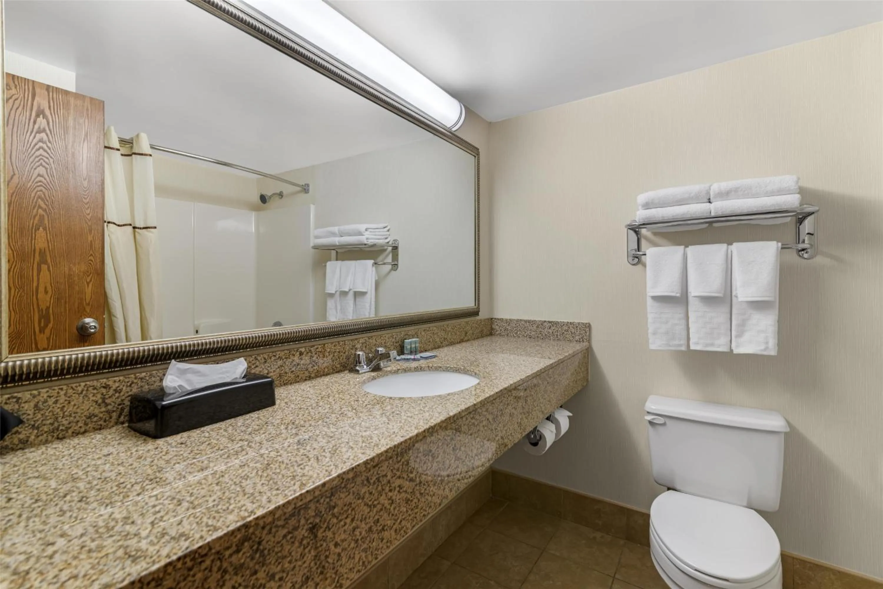 Bathroom in Best Western Royal Plaza Hotel and Trade Center