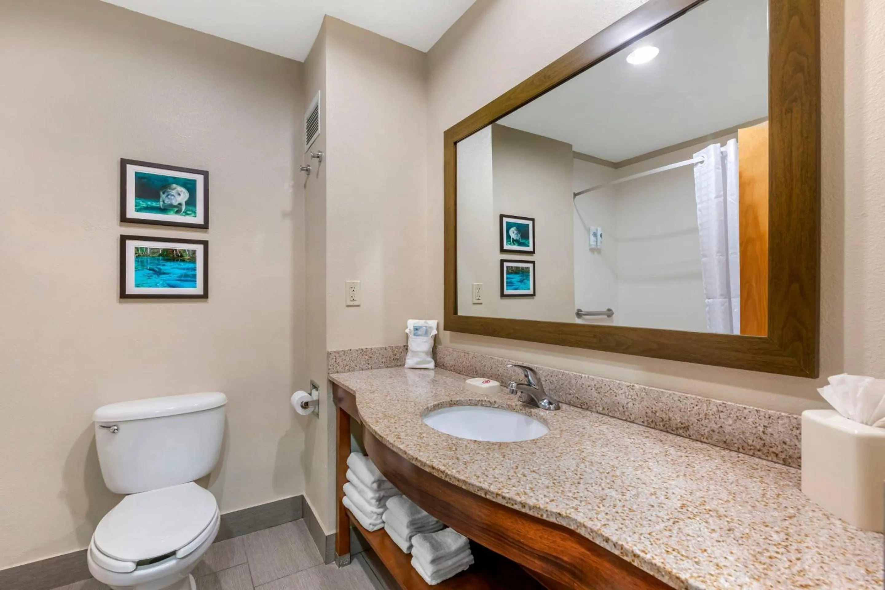 Bathroom in Comfort Inn & Suites Wildwood - The Villages