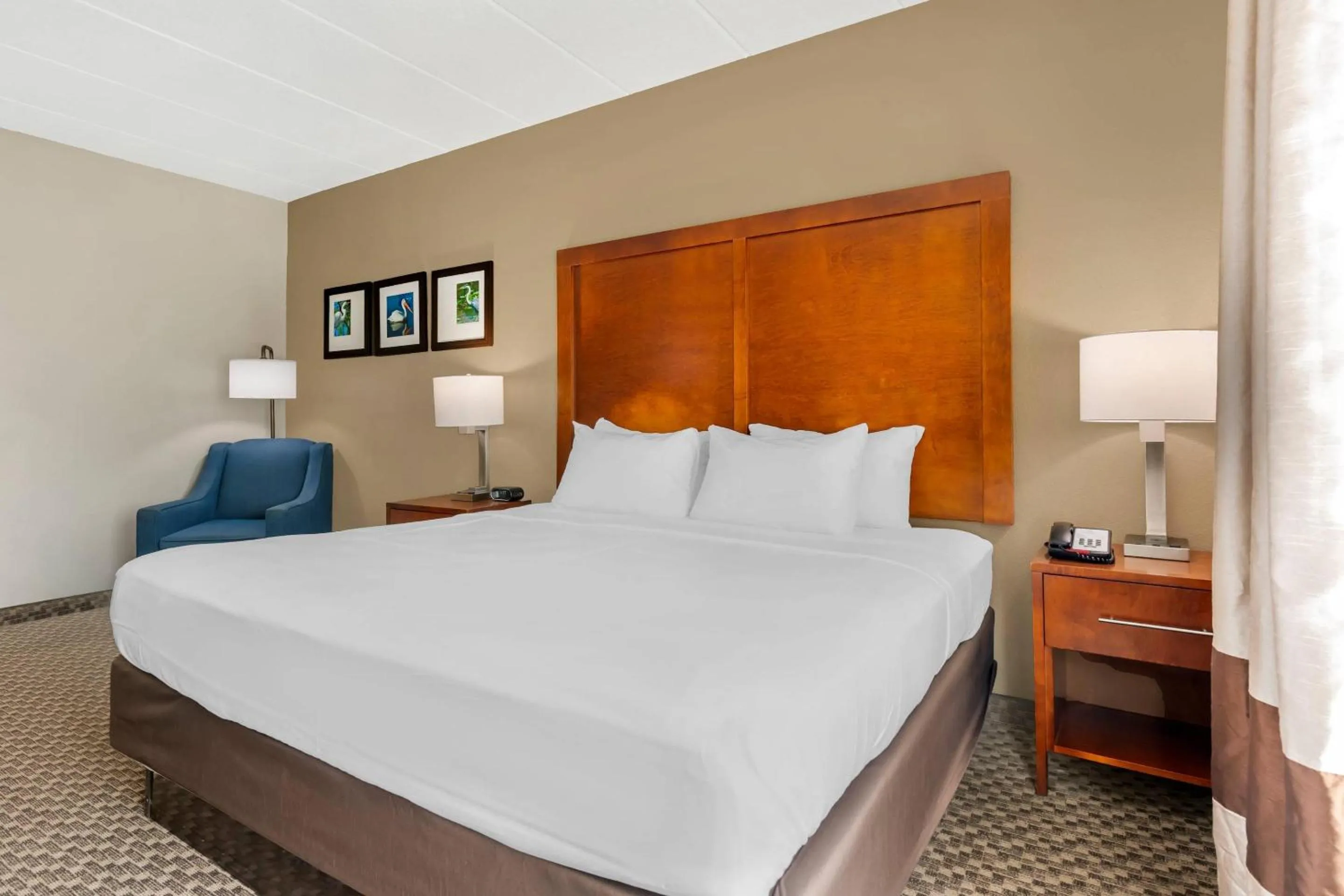 Bedroom, Bed in Comfort Inn & Suites Wildwood - The Villages