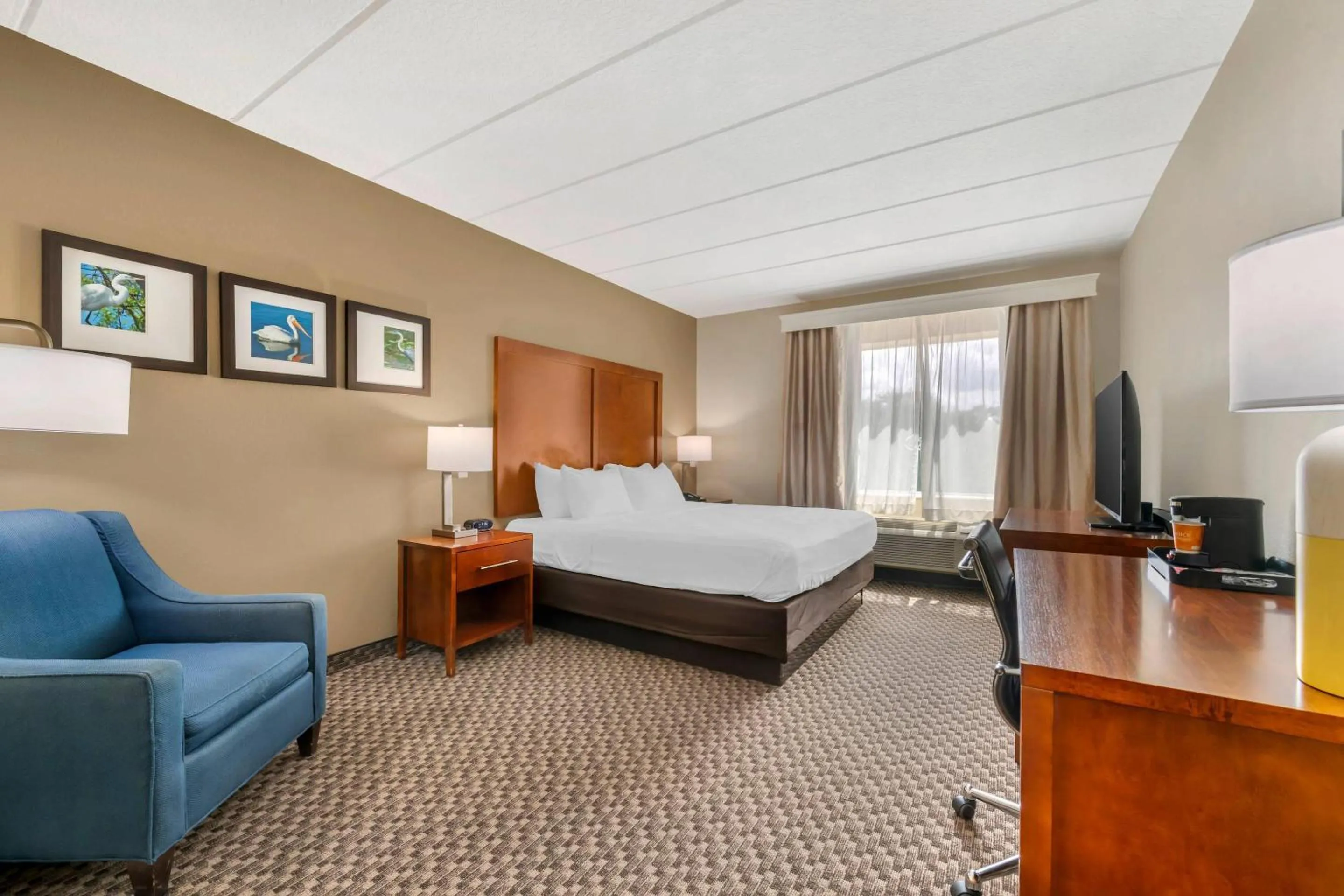 King Room - Accessible/Non-Smoking in Comfort Inn & Suites Wildwood - The Villages