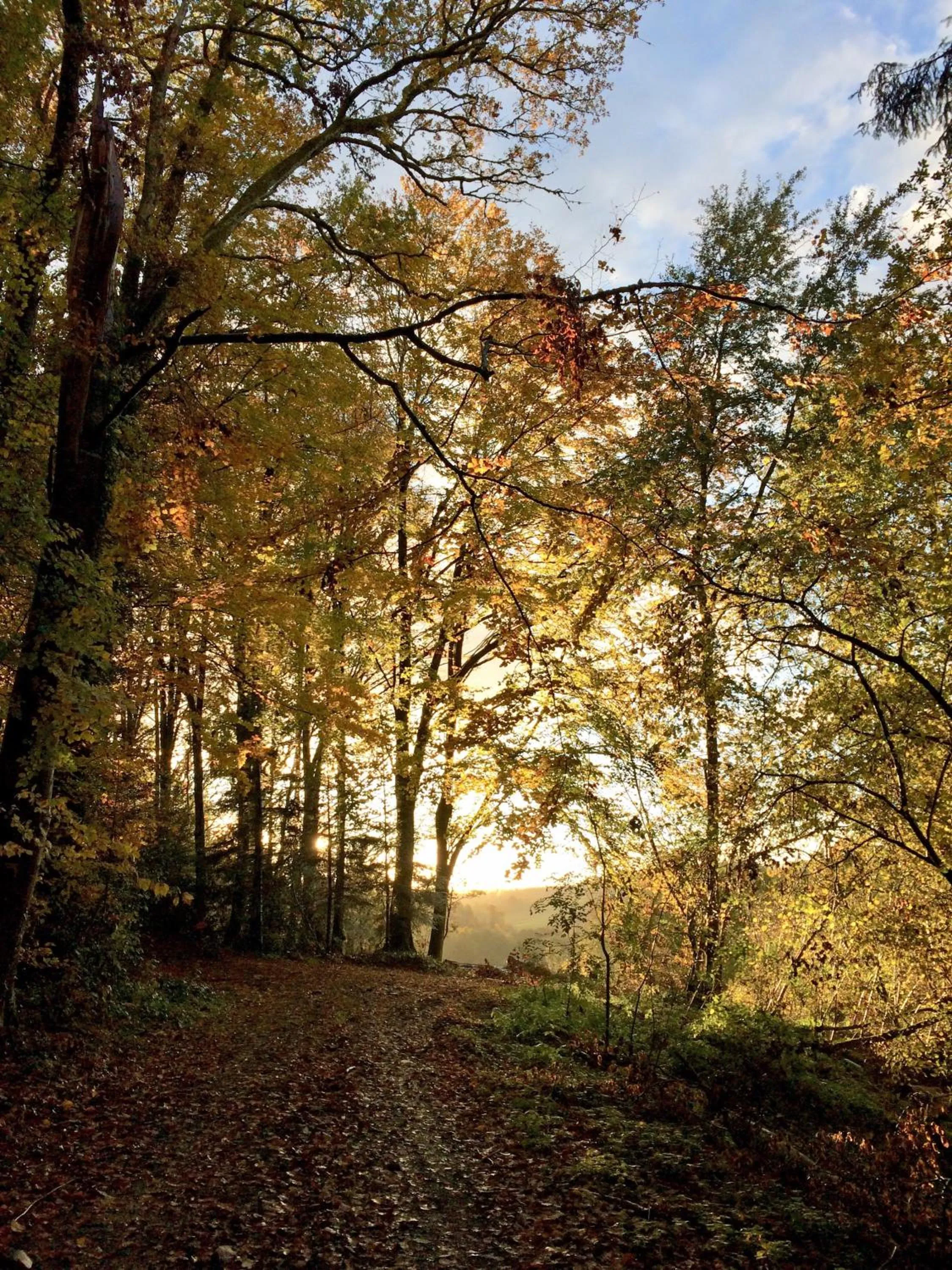 Natural landscape in Champ De Foire