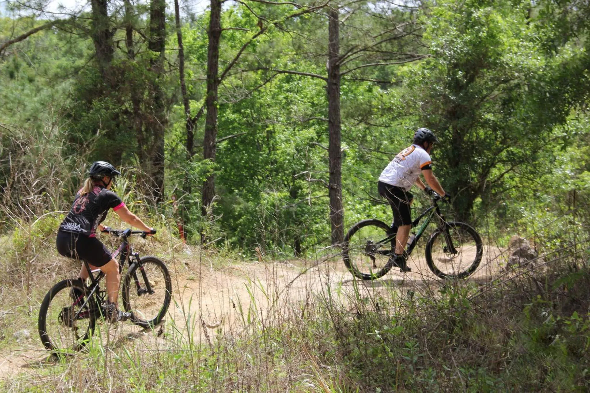 Day in Howard Johnson by Wyndham Ocala FL I-75