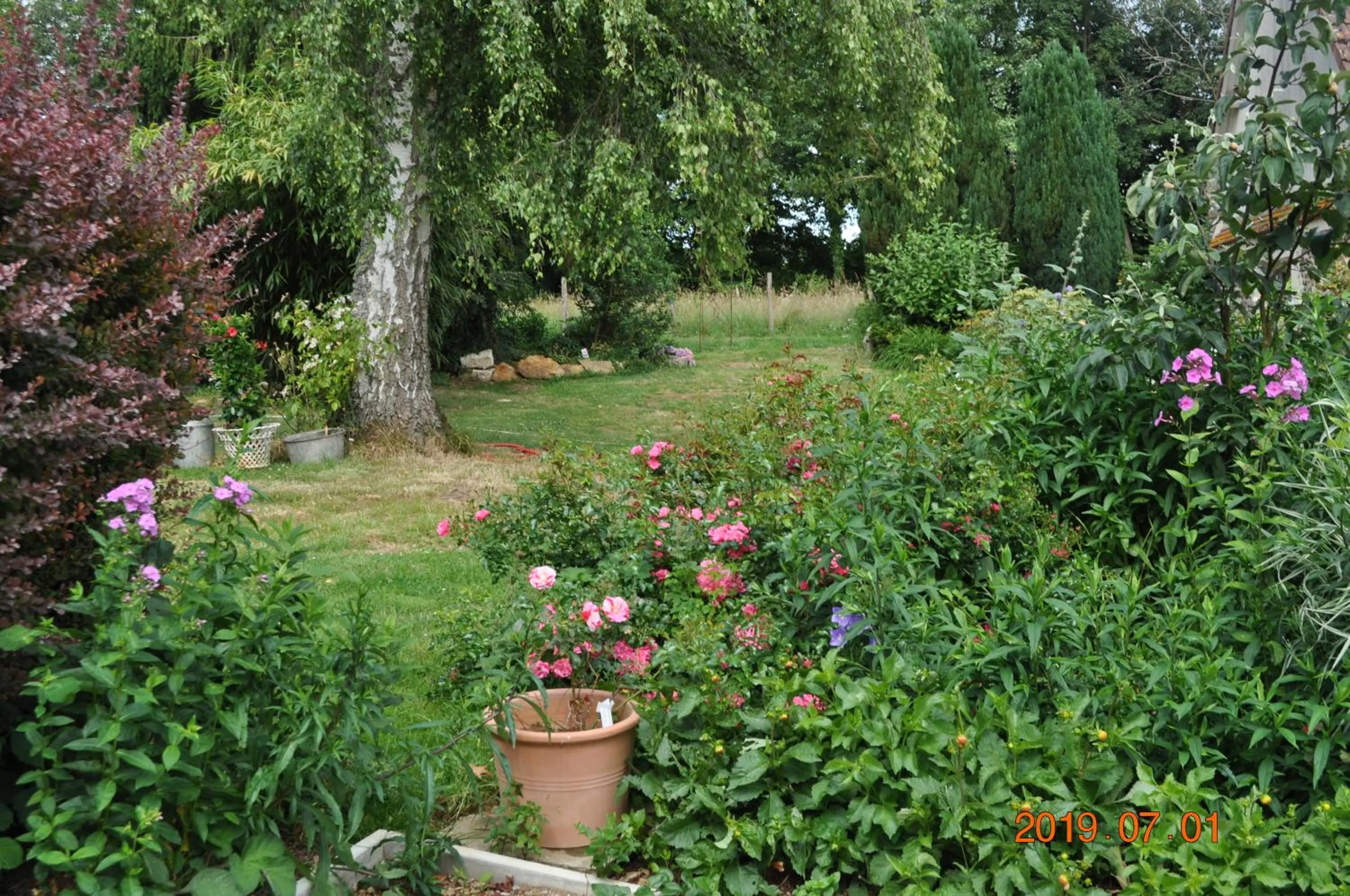 Garden in Ma maison bleue