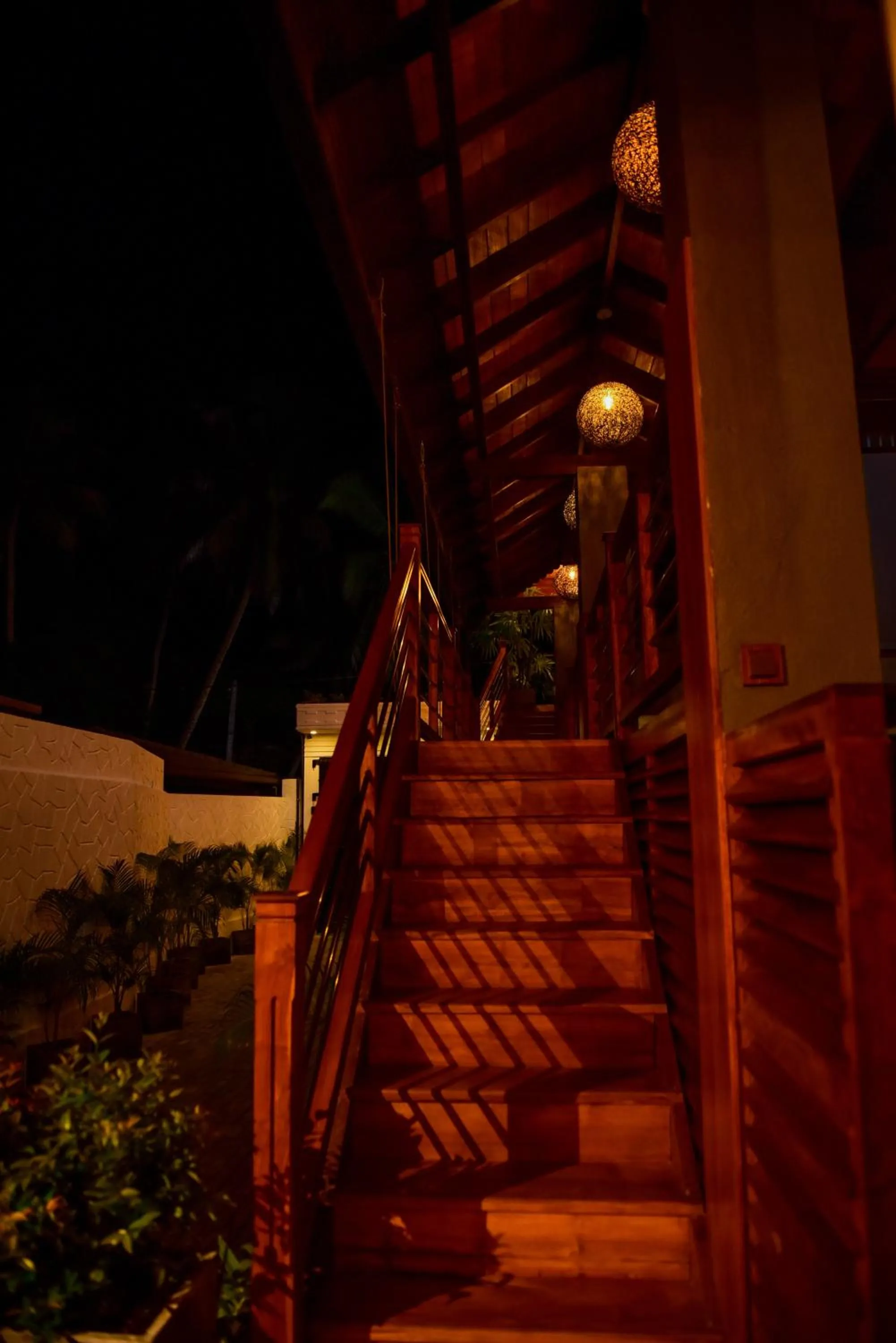 Night in Cara White House