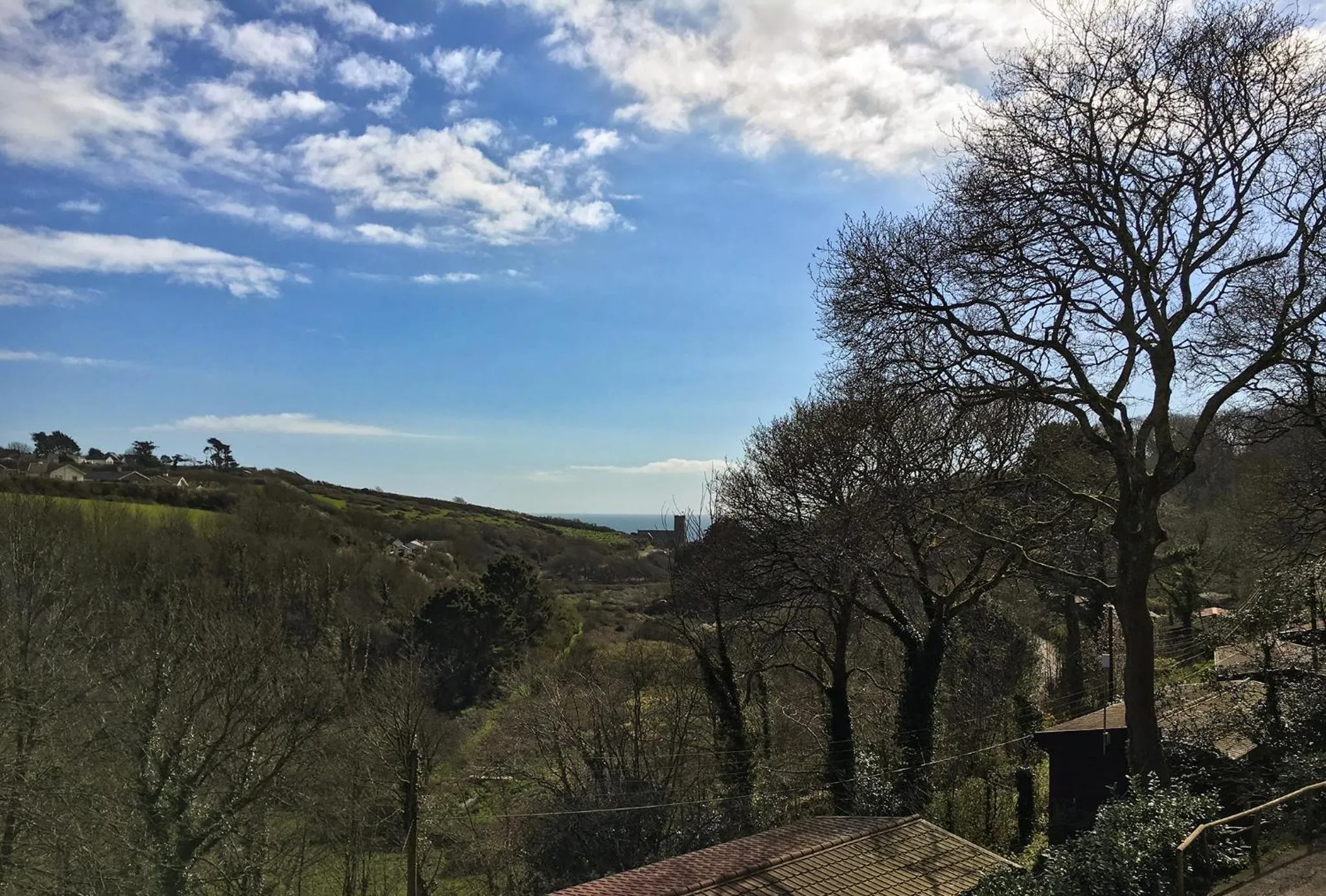Natural landscape in Churchwood Valley