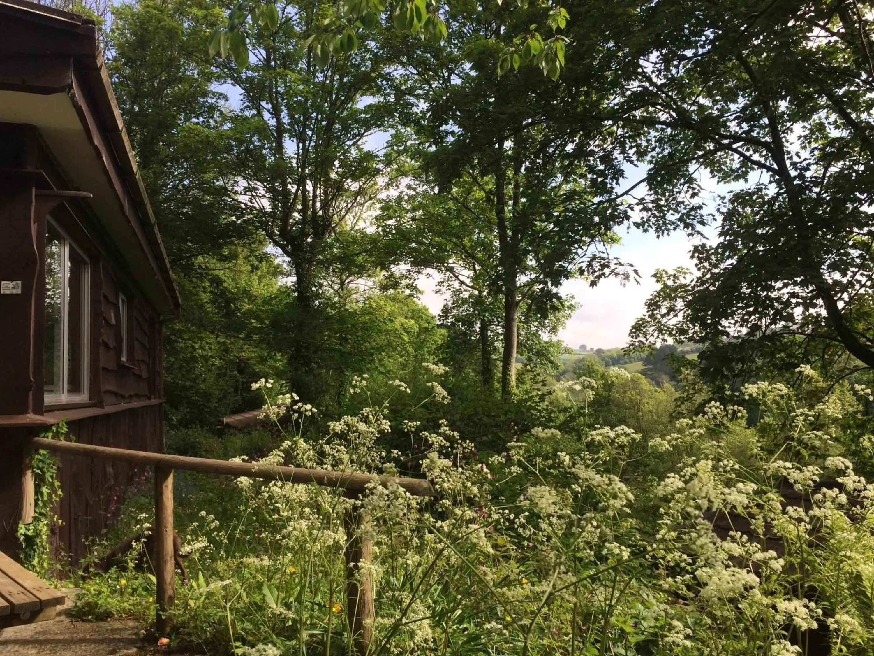 Garden in Churchwood Valley
