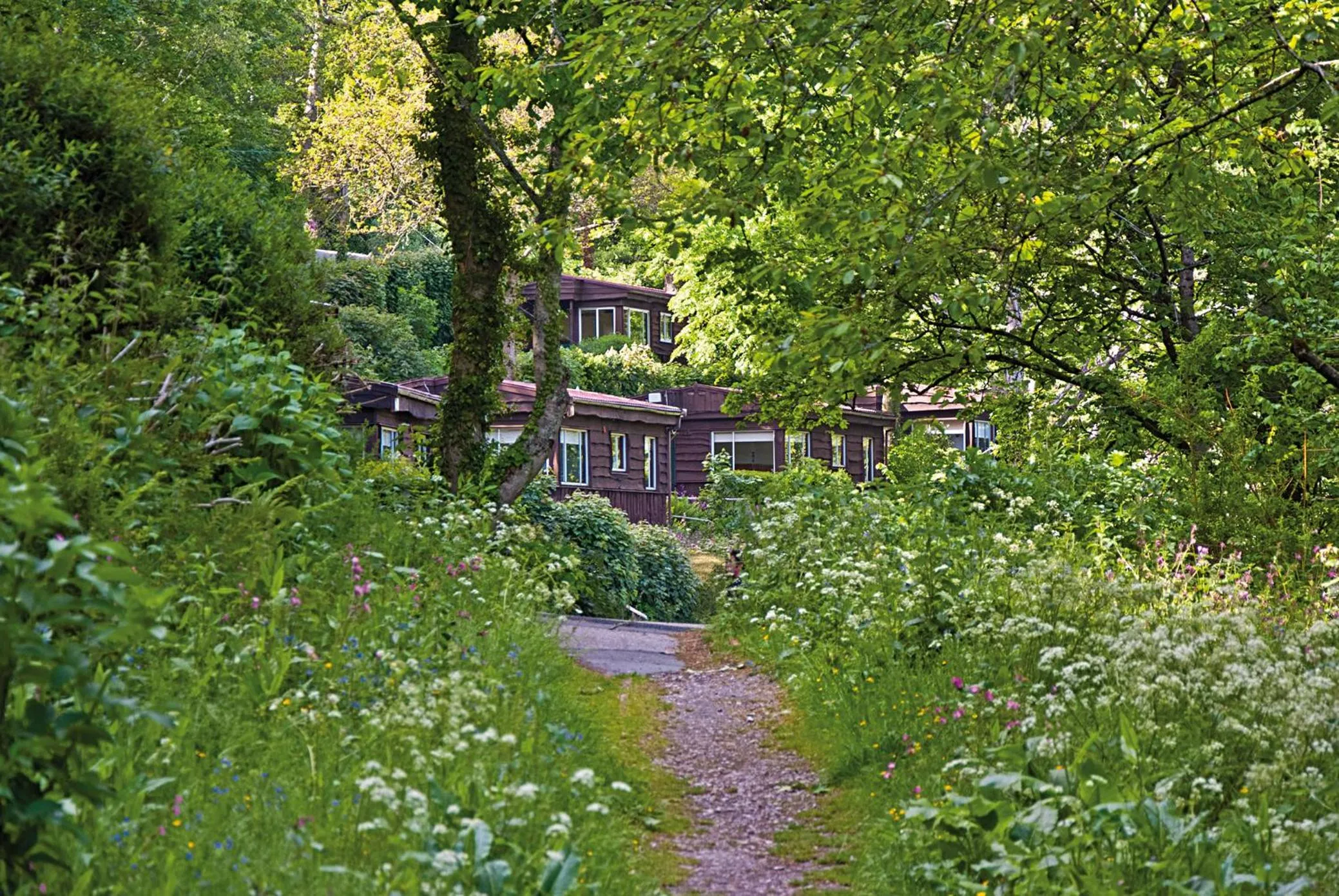 Garden view in Churchwood Valley