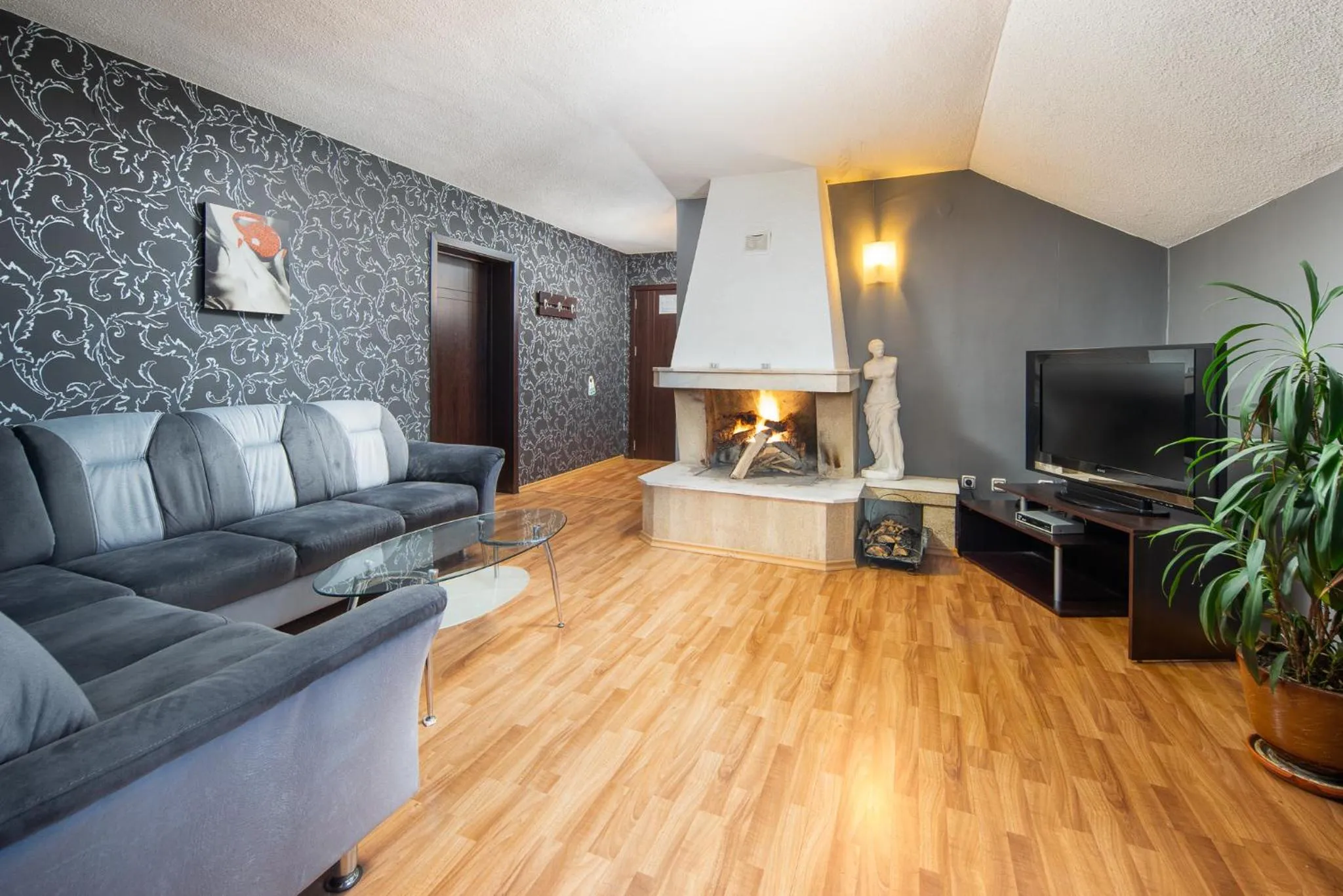 TV and multimedia in Dolna Bania Hotel