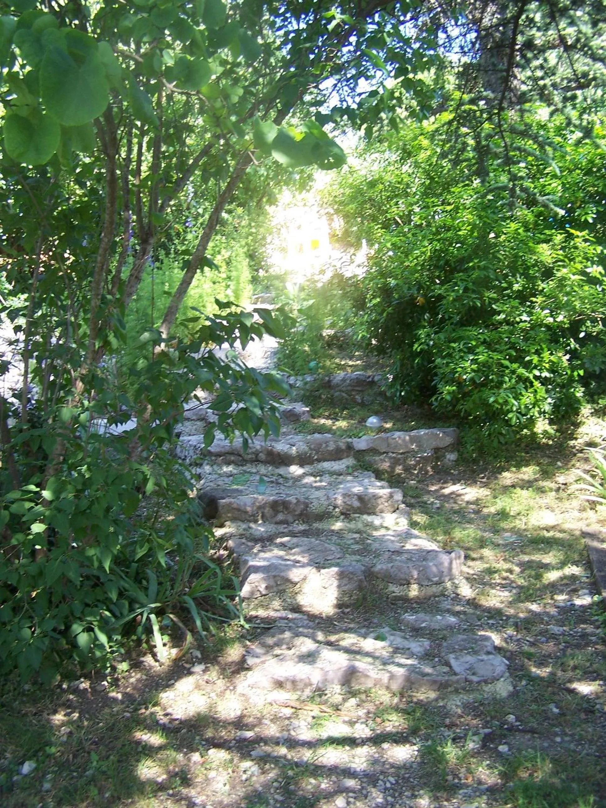 Garden in Chambres d'hôtes les Clapas