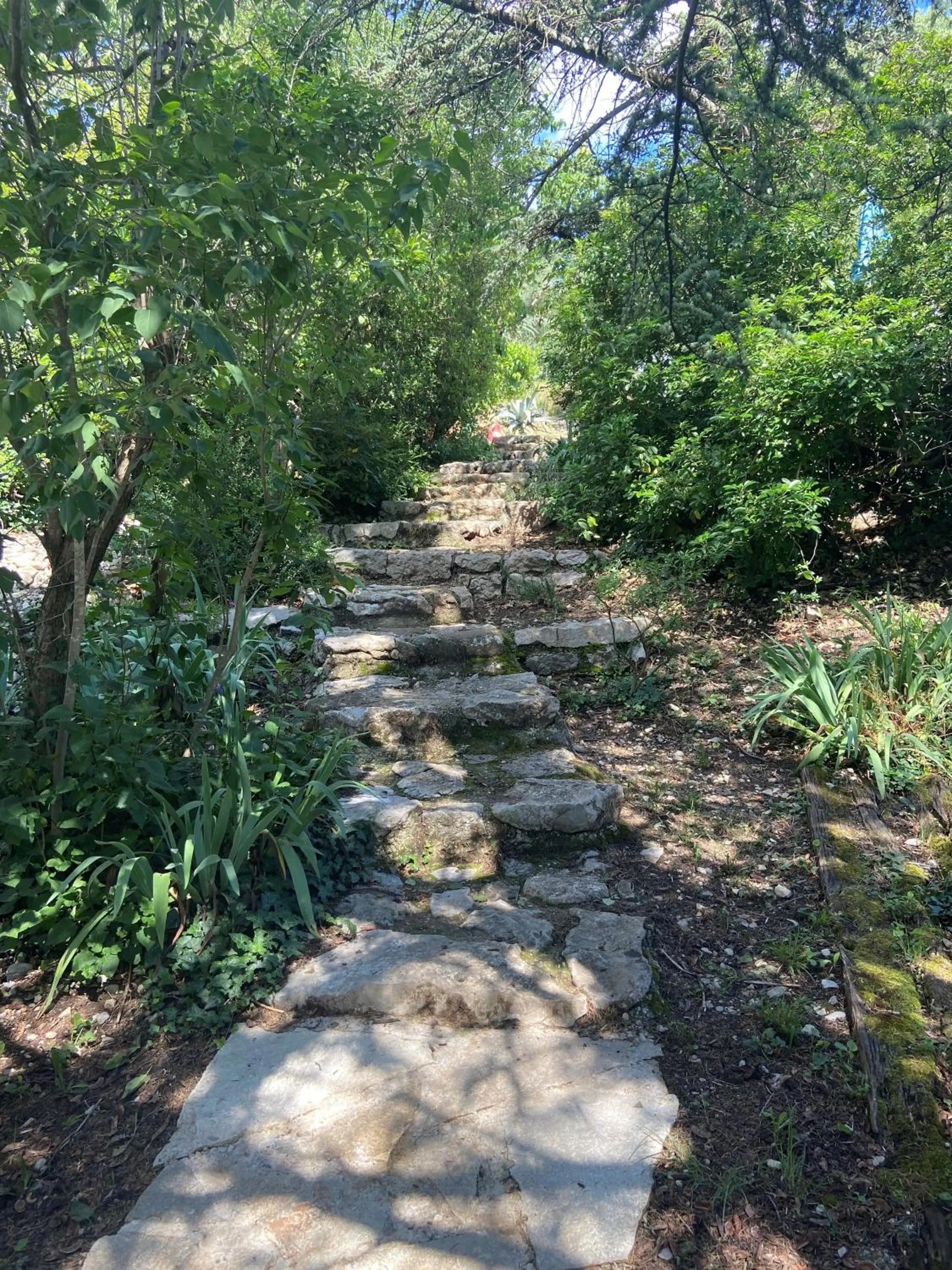Garden in Chambres d'hôtes les Clapas