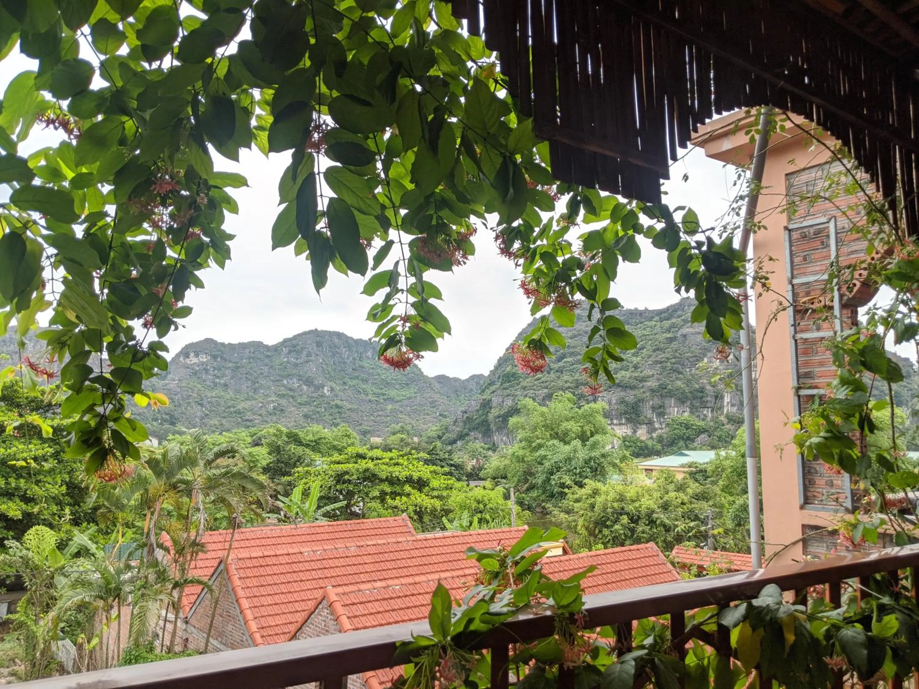 Natural landscape in Ninh Binh Greenland Homestay