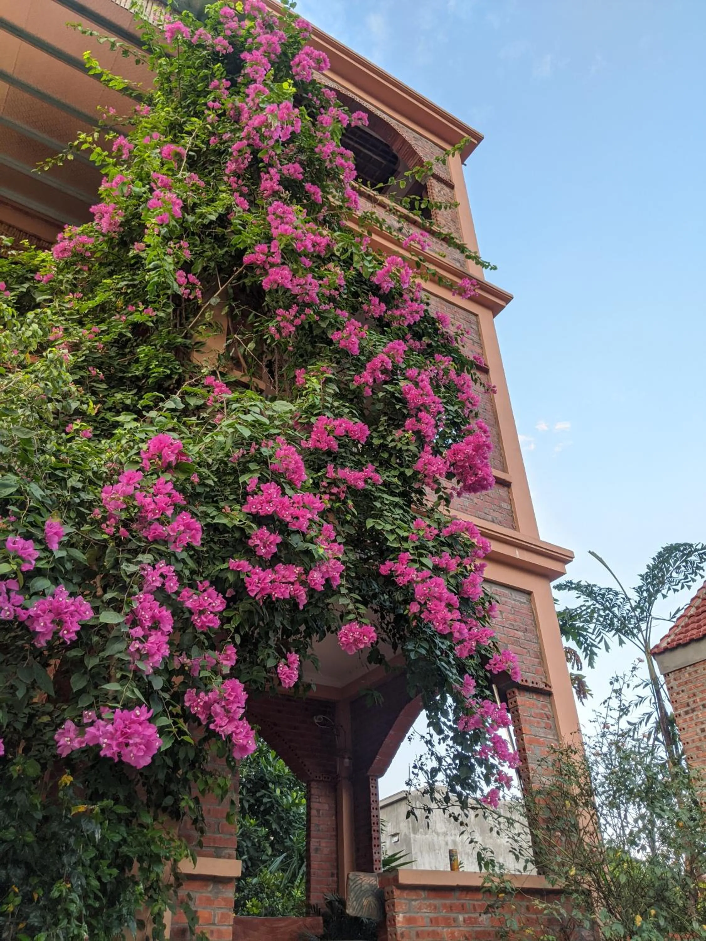 Property building in Ninh Binh Greenland Homestay