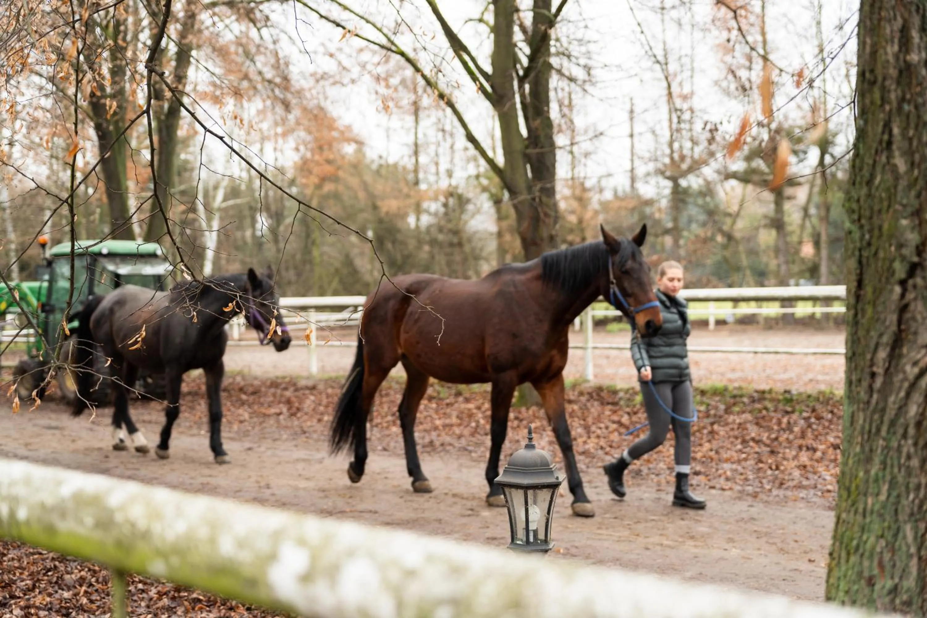 People in Apartamenty w Dworku Cheval