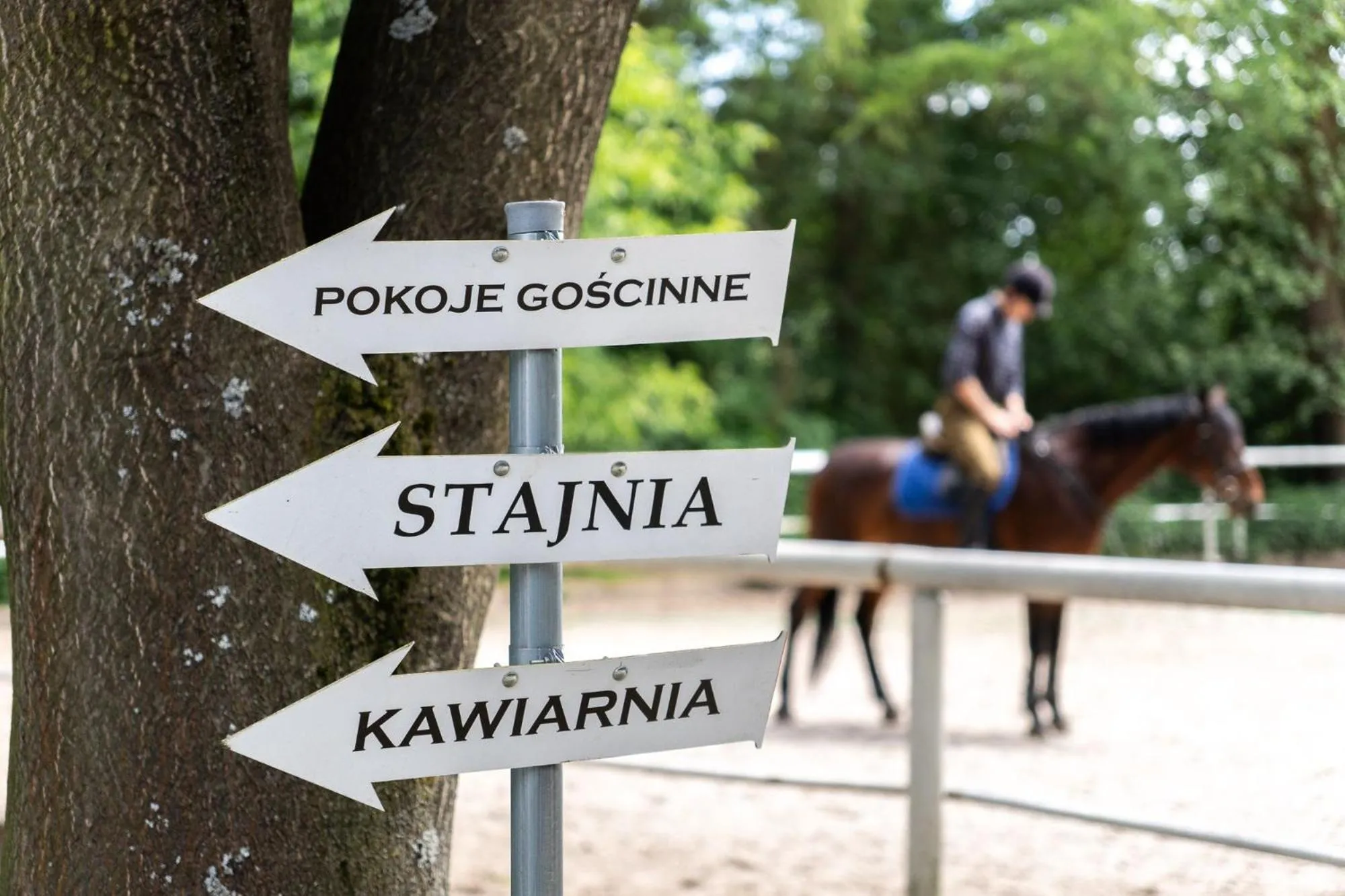 Apartamenty w Dworku Cheval